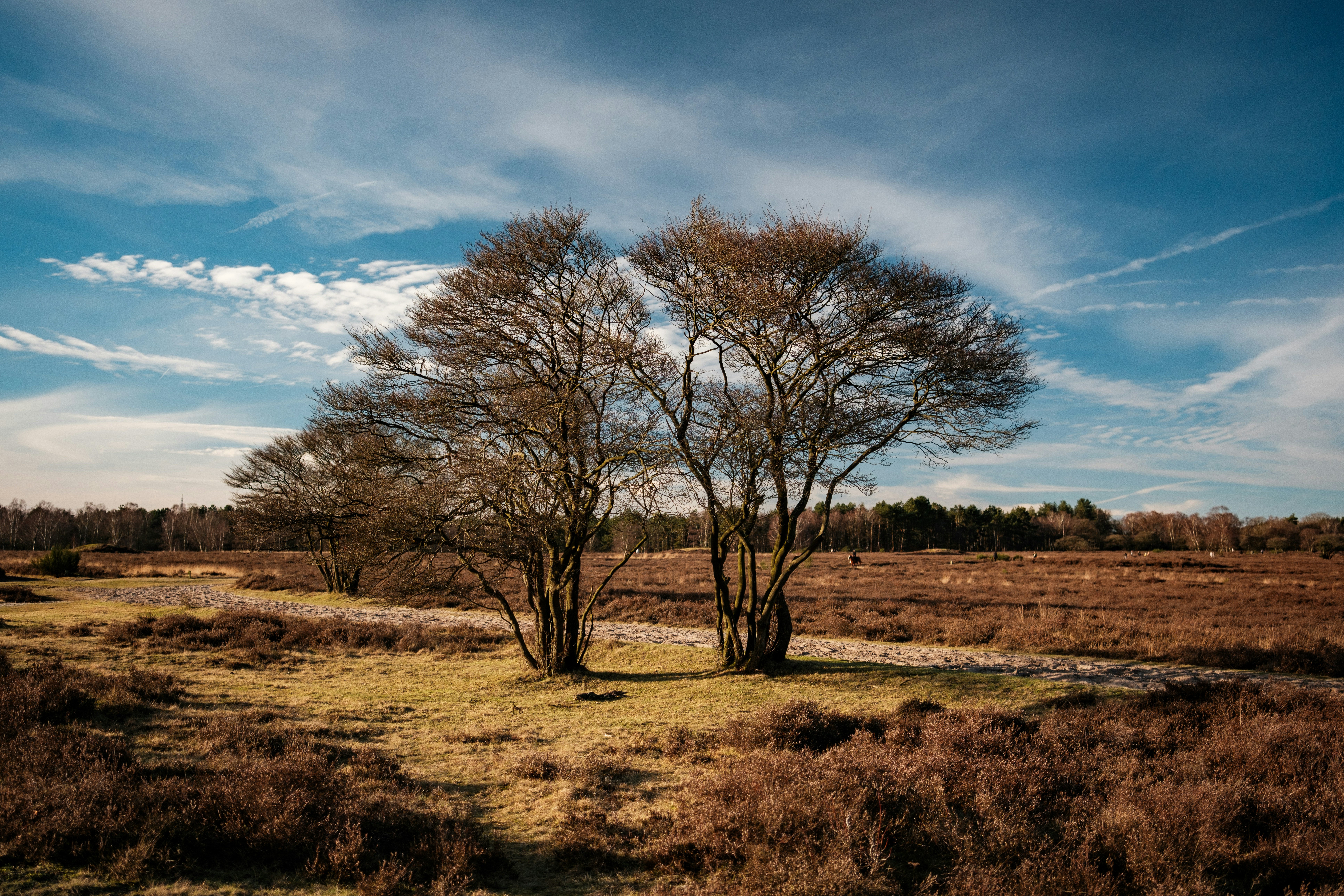 Photo by haberdoedas2