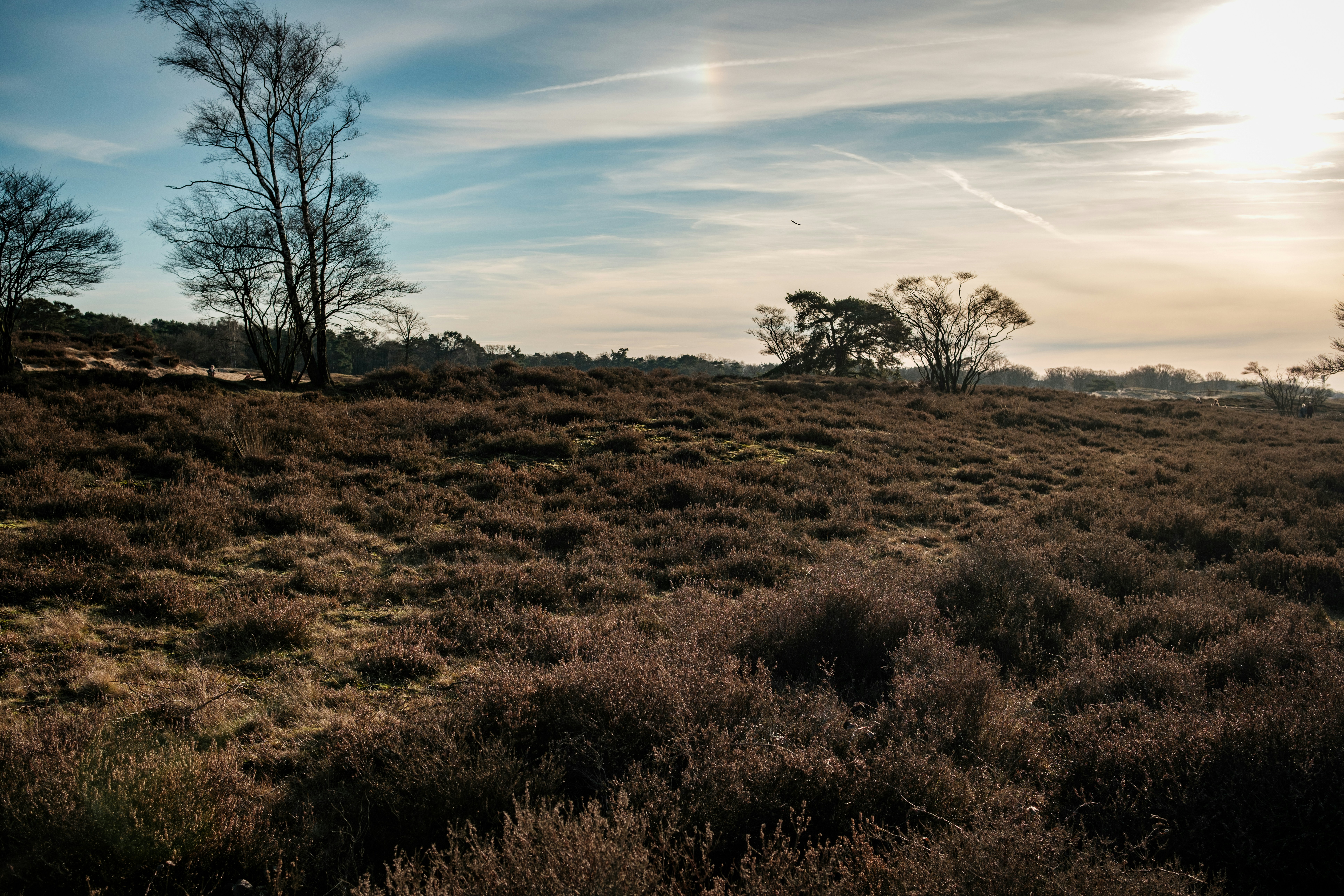 Photo by haberdoedas2