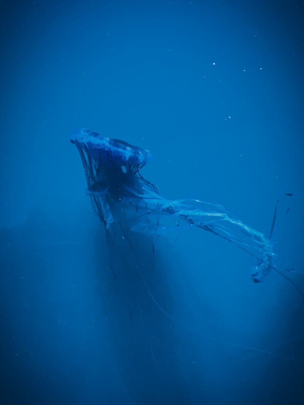 a large blue object floating on top of a body of water