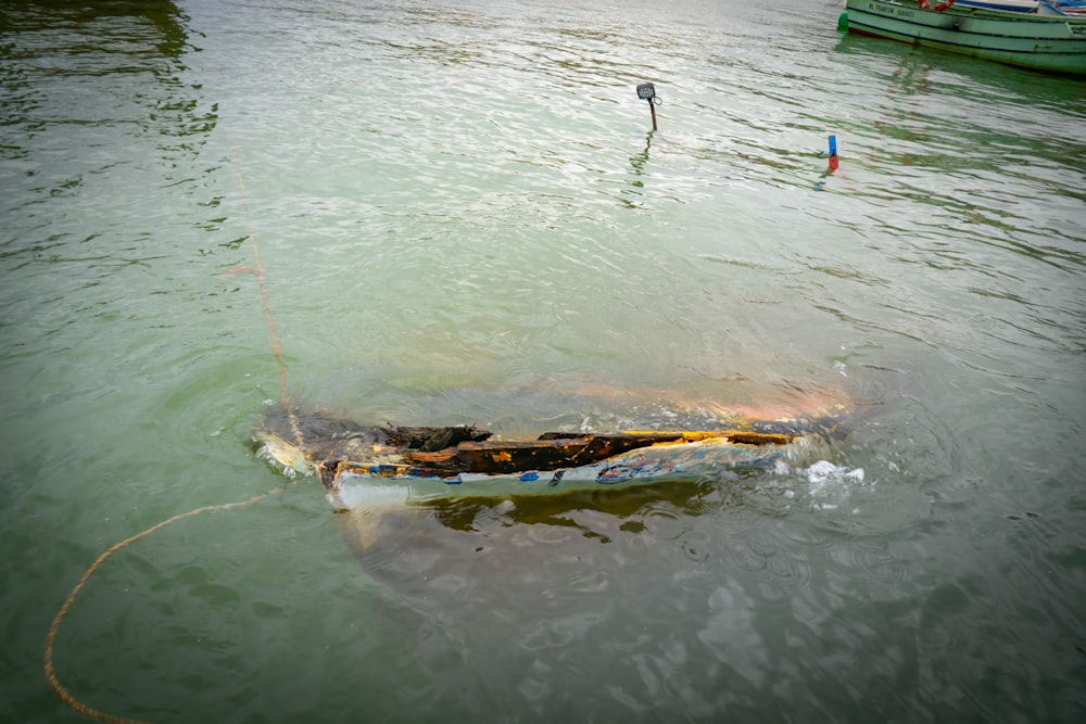 a boat in a body of water with a rope attached to it