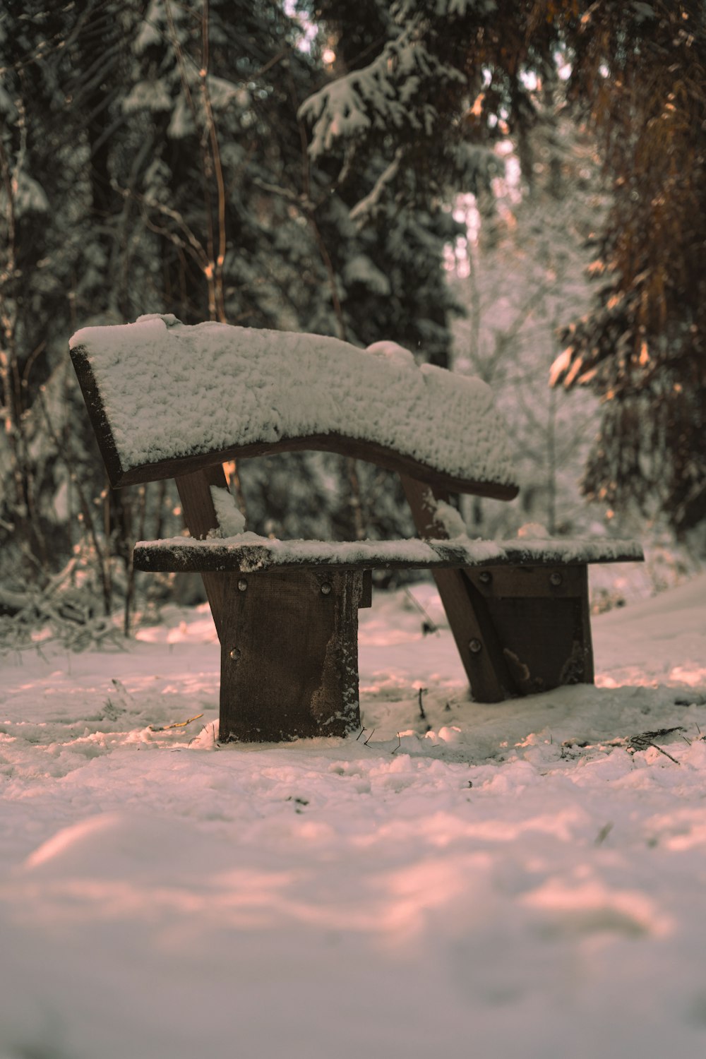 a wooden bench covered in snow in a forest