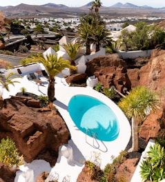 an aerial view of a pool surrounded by rocks and palm trees