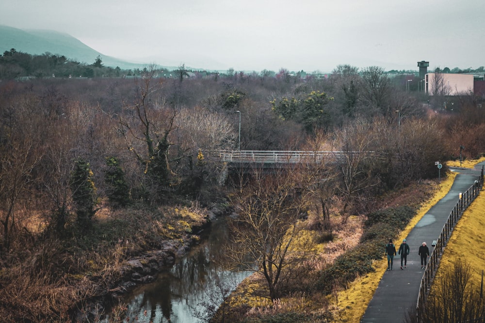 a couple of people walking across a bridge over a river