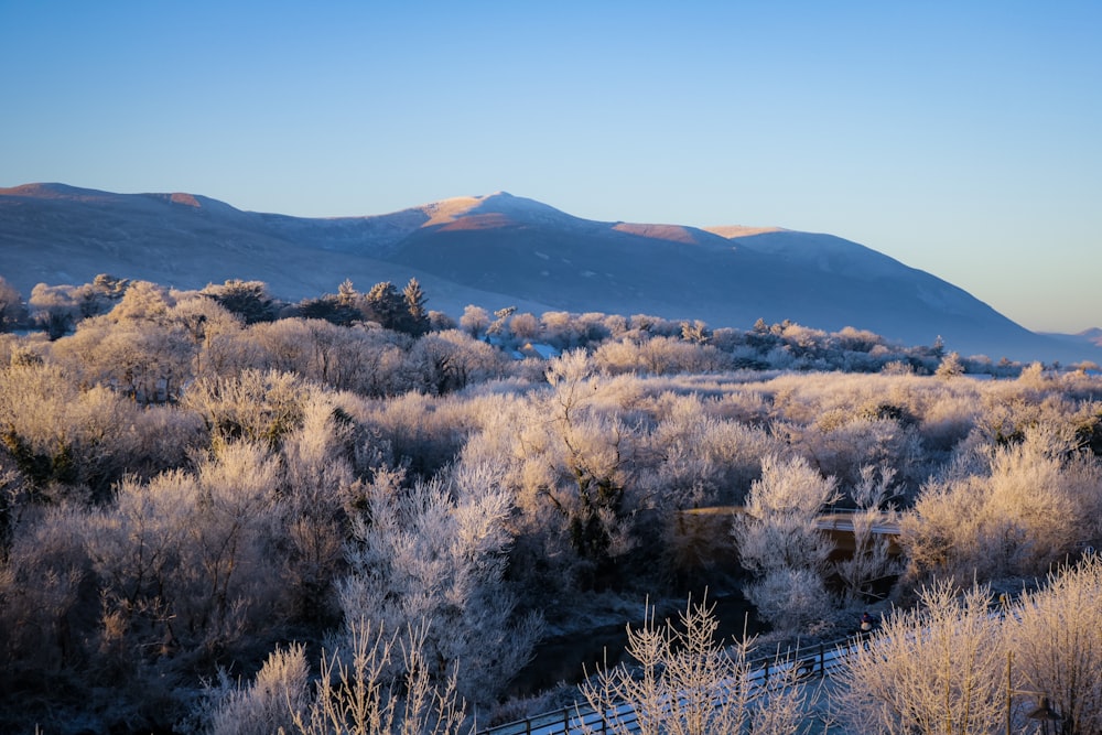 a view of a mountain range covered in frost