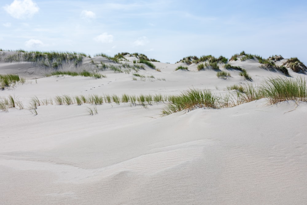 a sandy beach with grass growing out of the sand