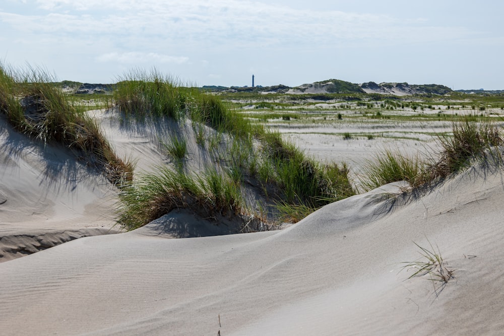 des dunes de sable avec de l’herbe qui en sort