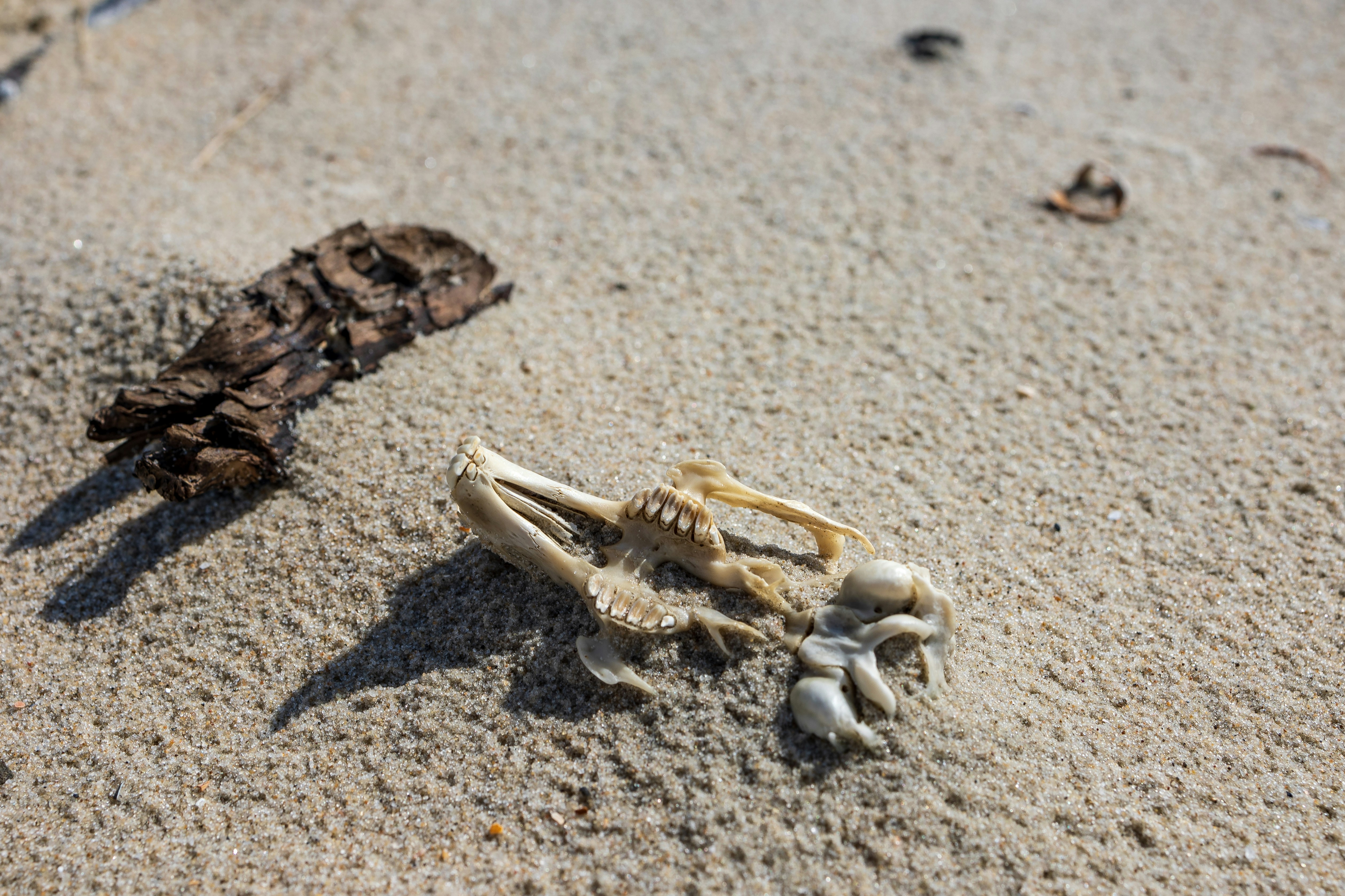 Photo by marvinradke