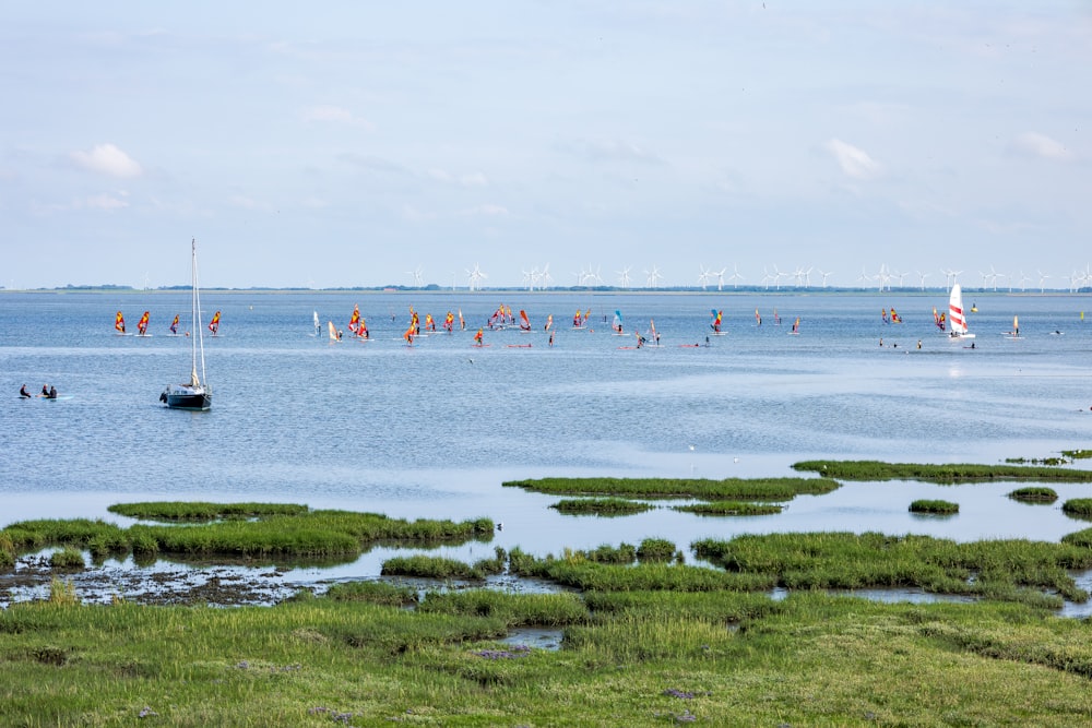 a large body of water filled with lots of boats