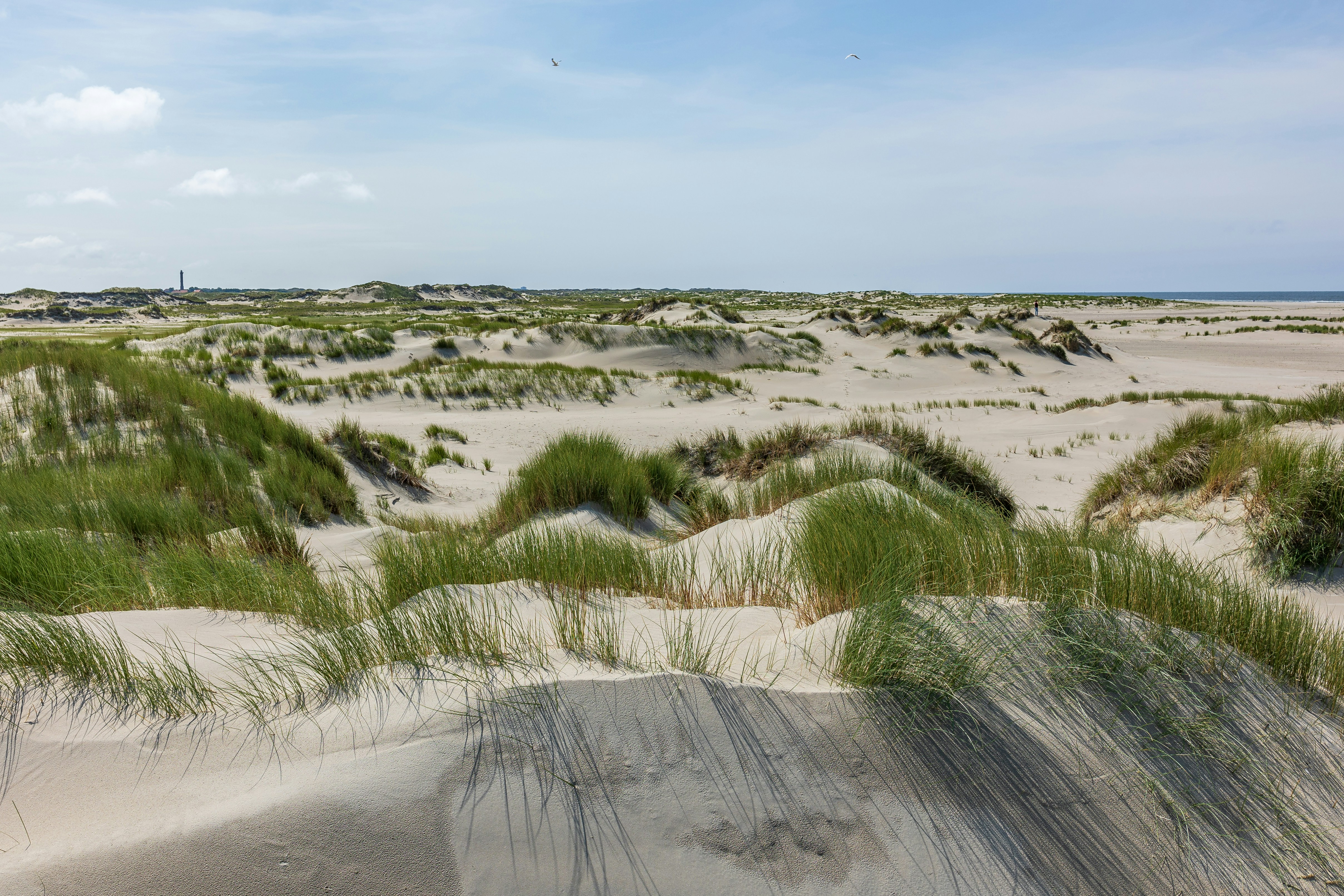 Photo by marvinradke