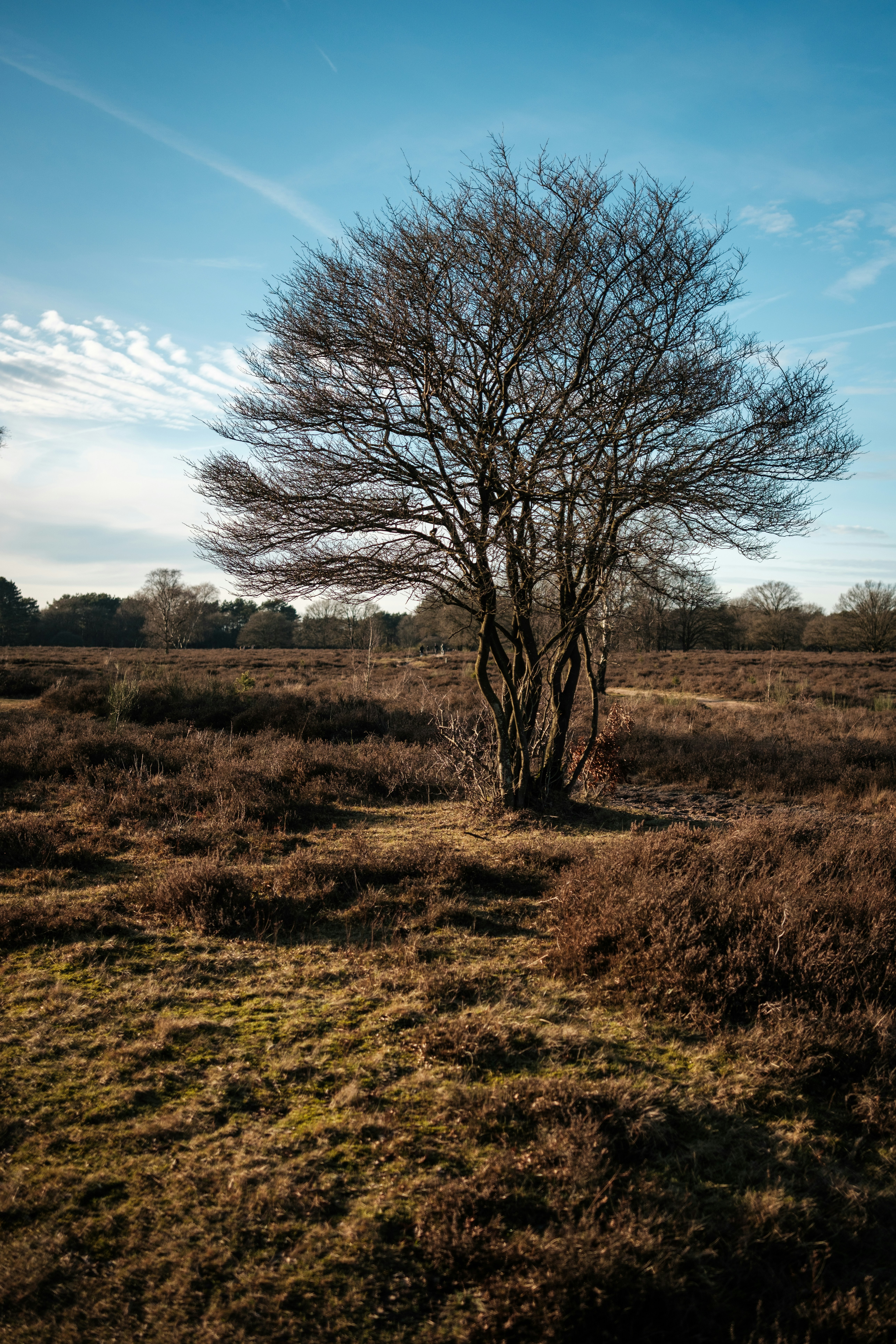 Photo by haberdoedas2