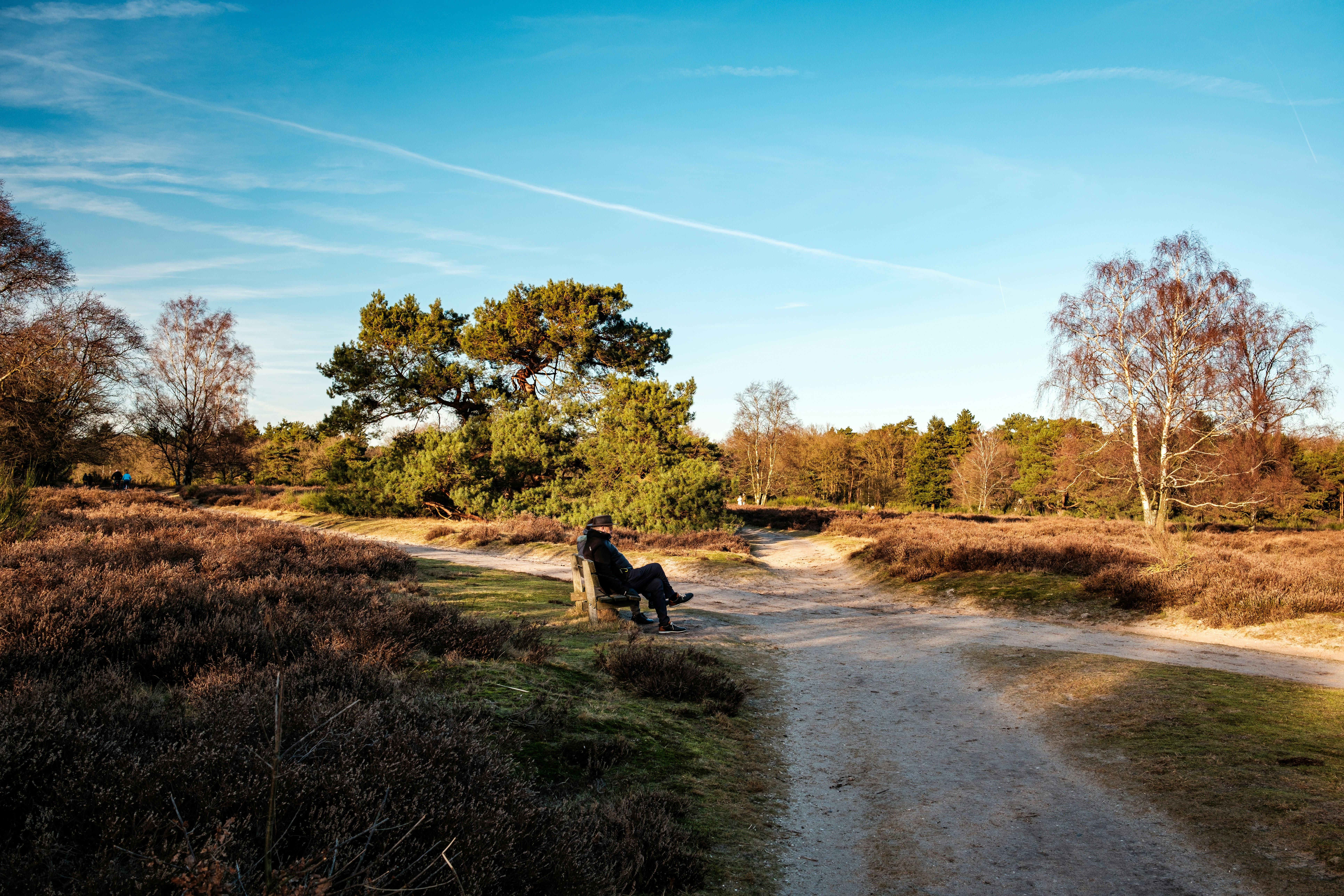 Afbeelding van Hilversum