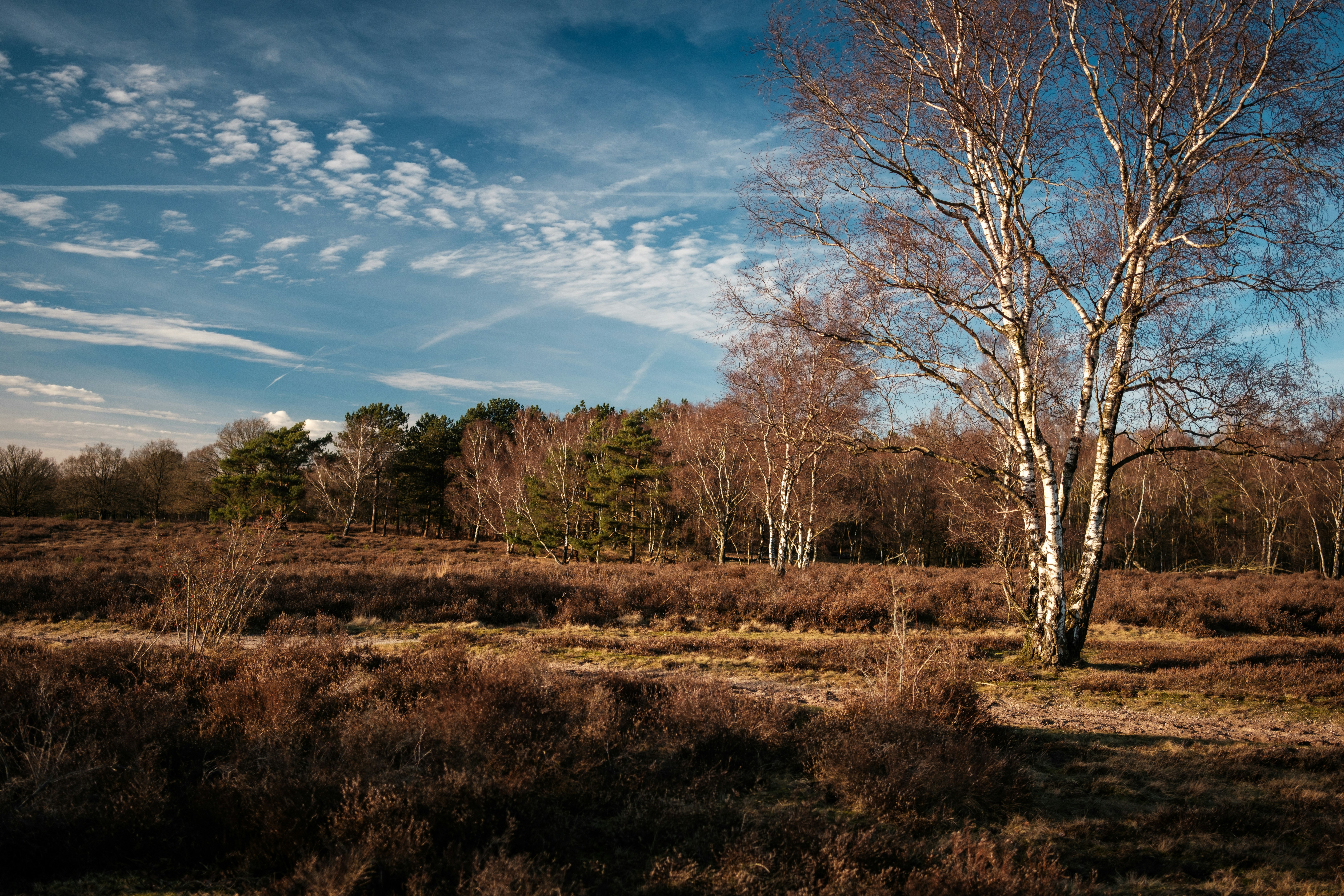 Photo by haberdoedas2