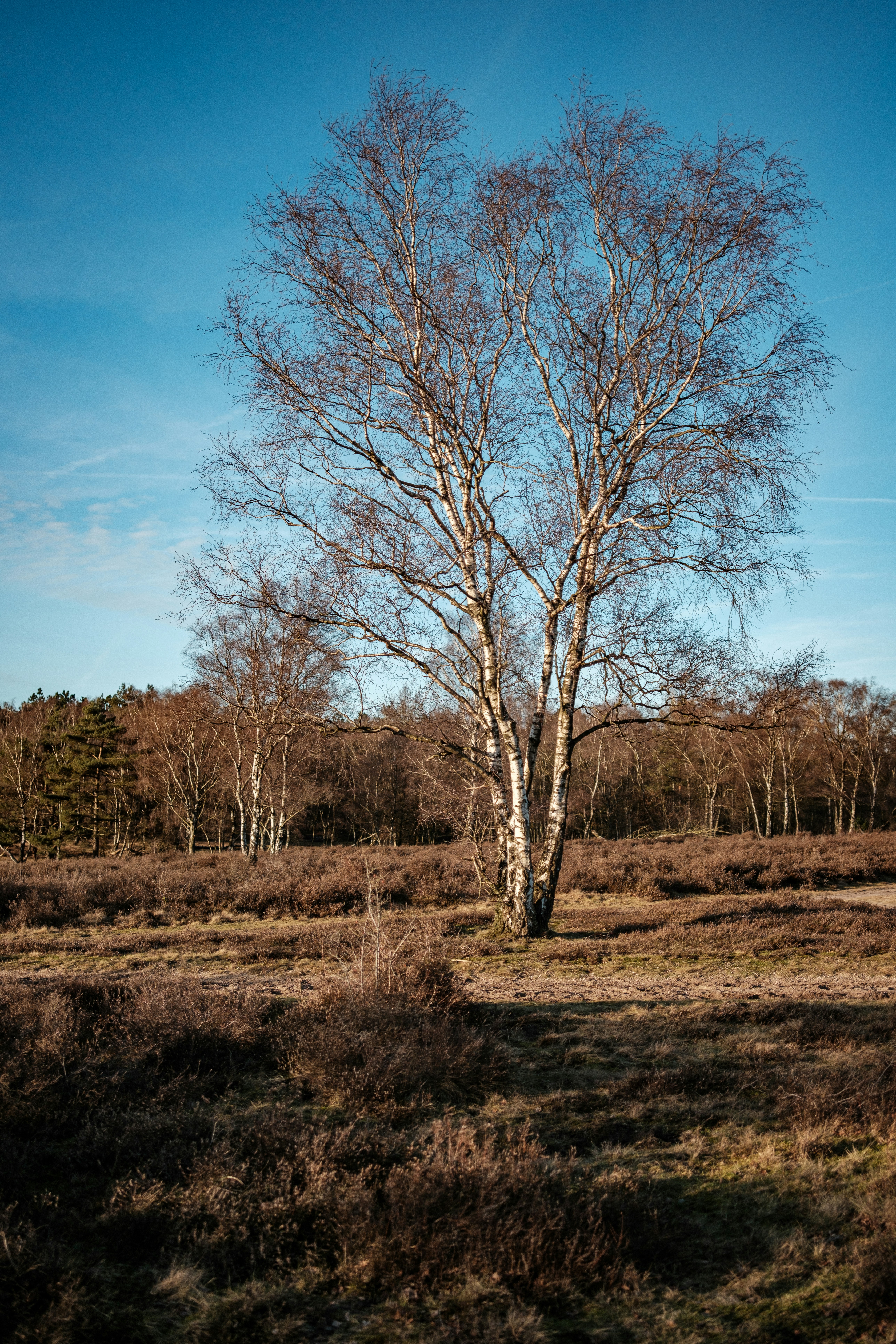 Photo by haberdoedas2