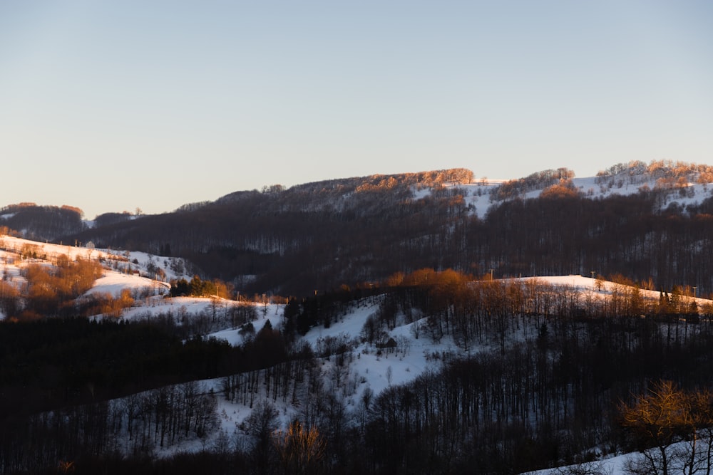 a mountain covered in snow with trees in the foreground