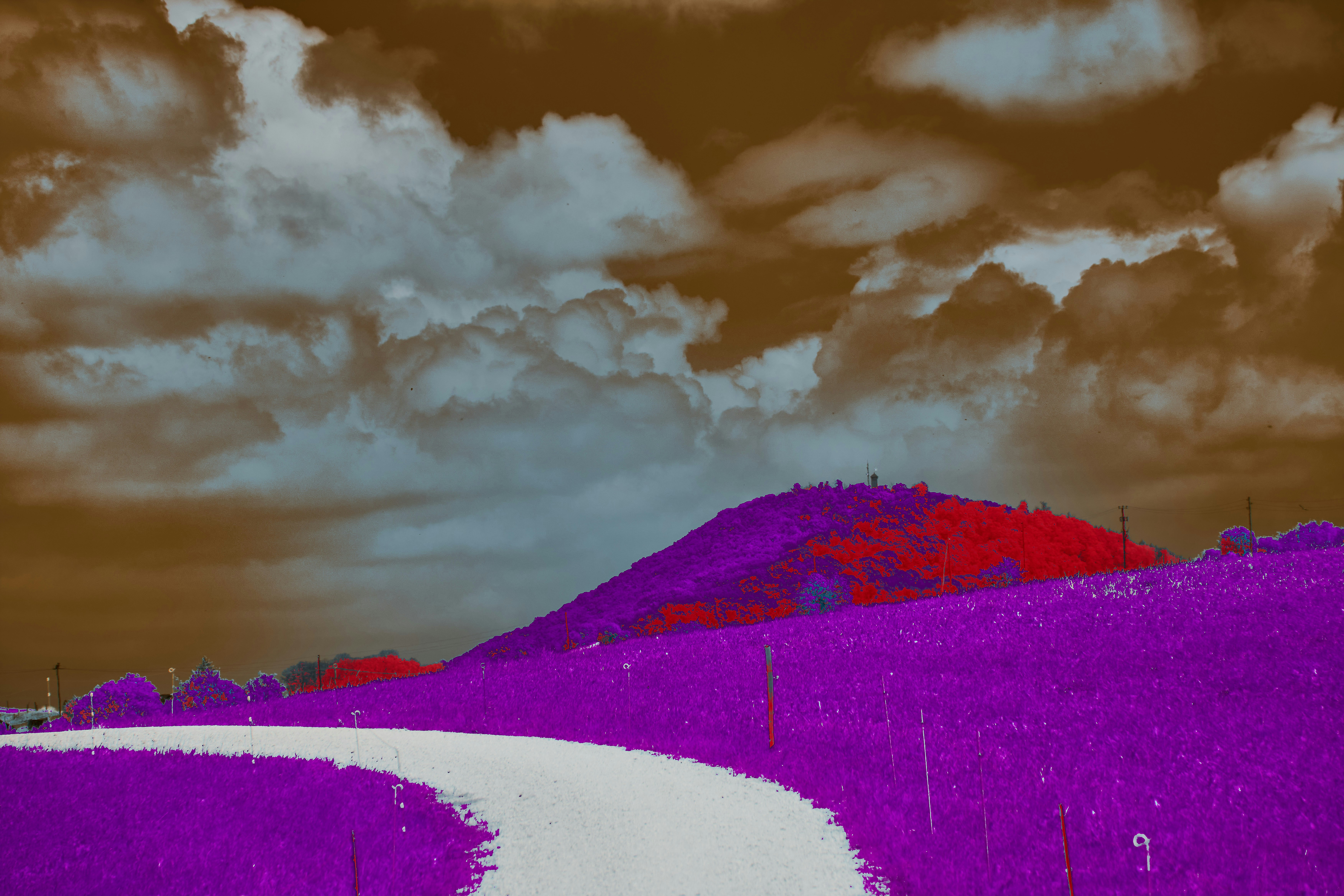 Photo by wolfgang_hasselmann