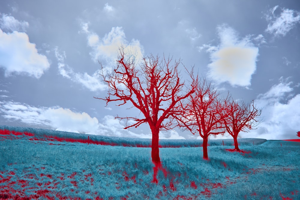 three red trees in a blue field under a cloudy sky