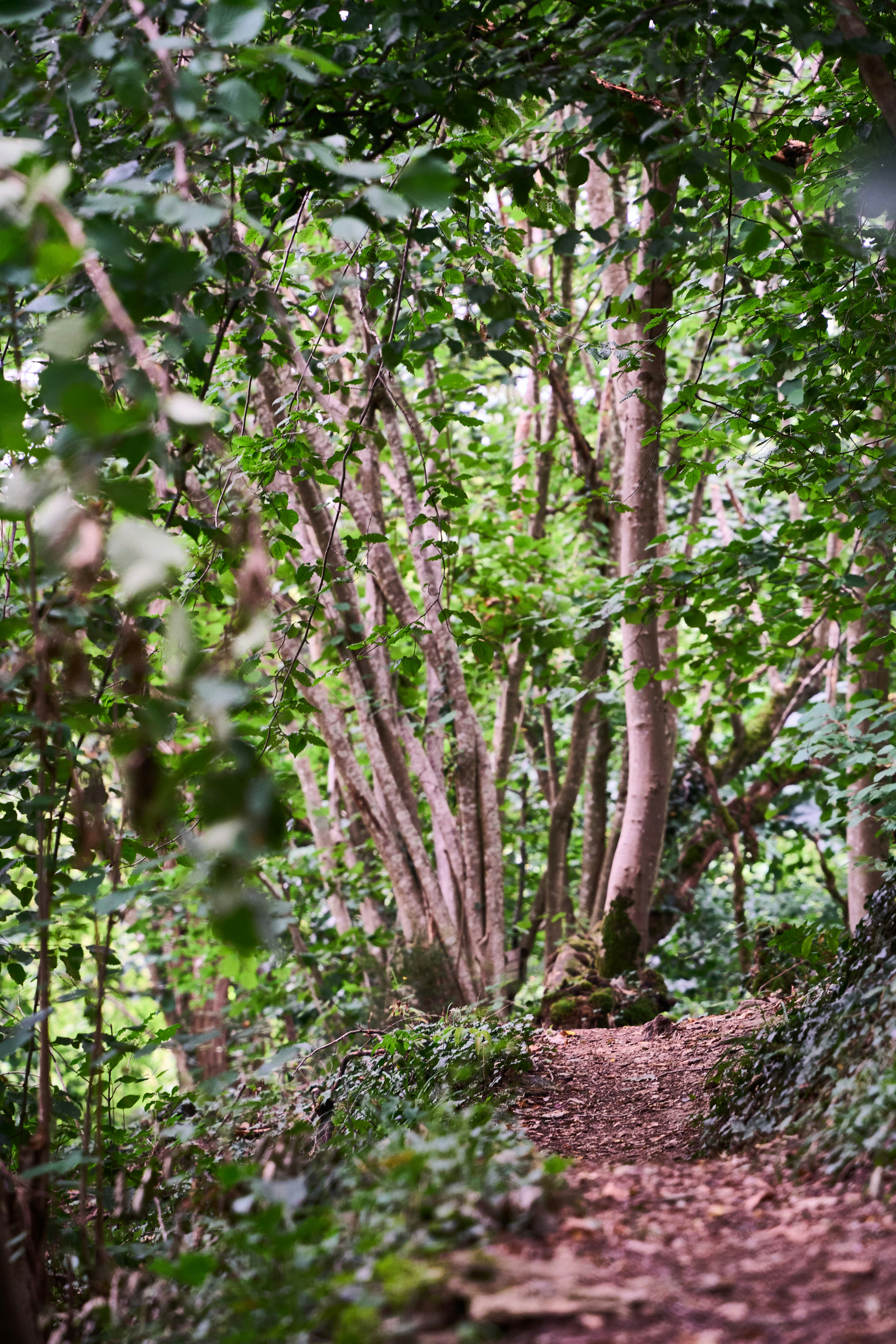 Photo by wolfgang_hasselmann