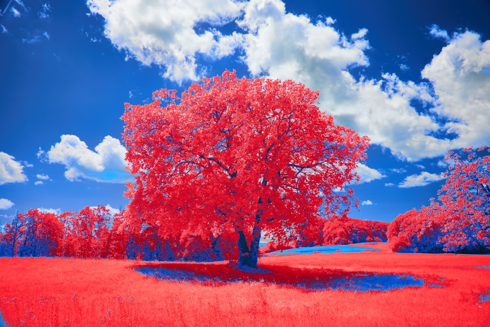 a red tree in a field with a blue sky in the background