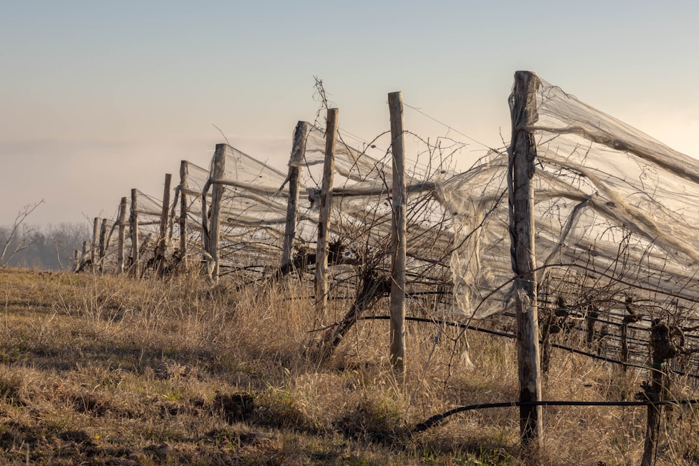 a fence covered in a net on top of a dry grass field