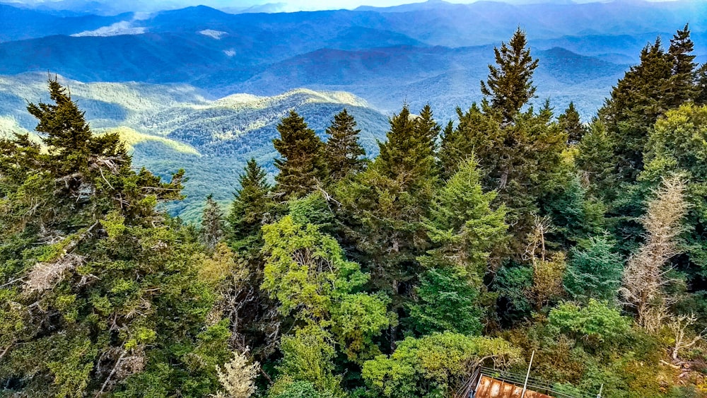 a scenic view of the mountains and trees