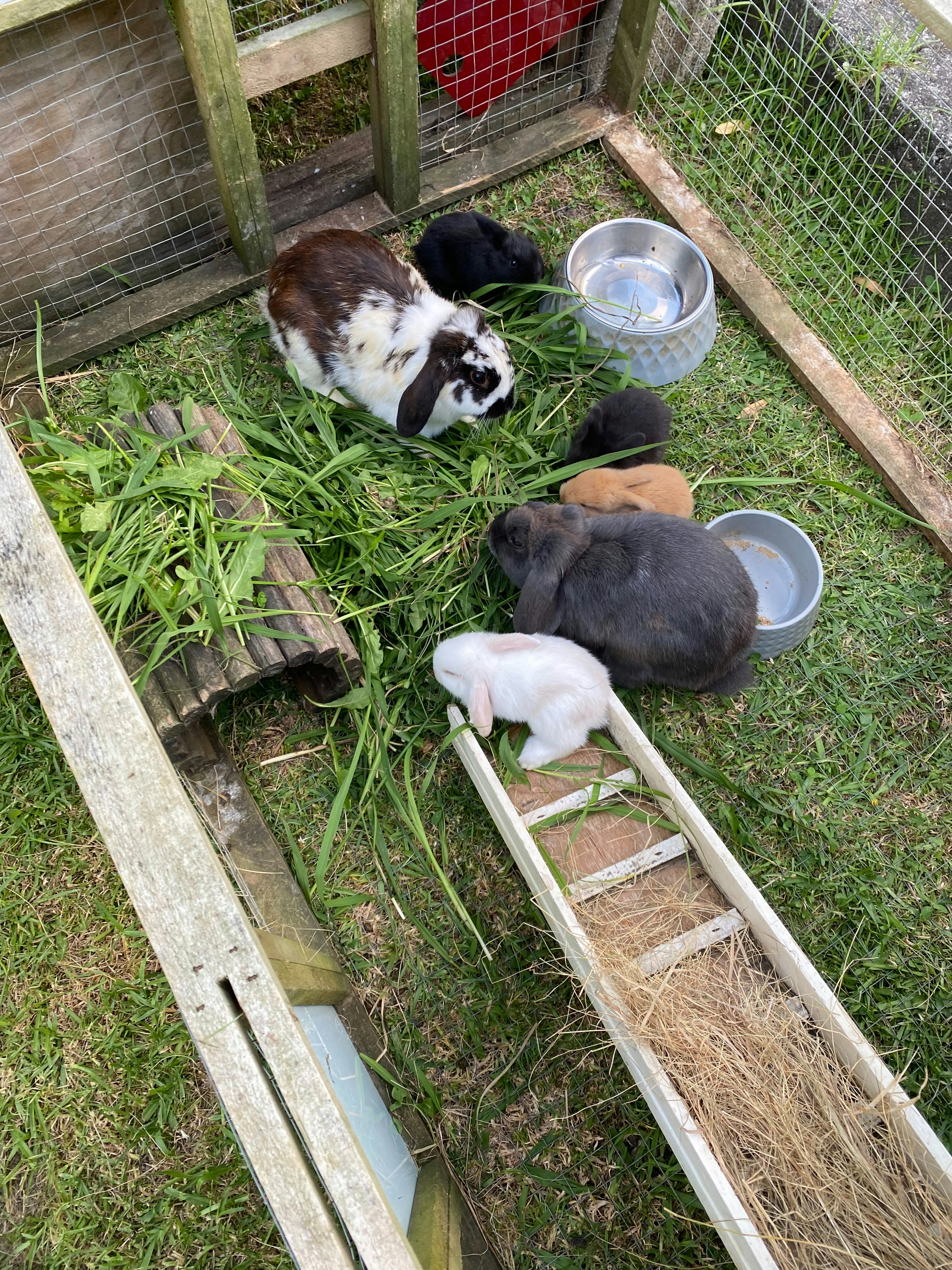 The Joy of Caring for Another (image credits: unsplash)