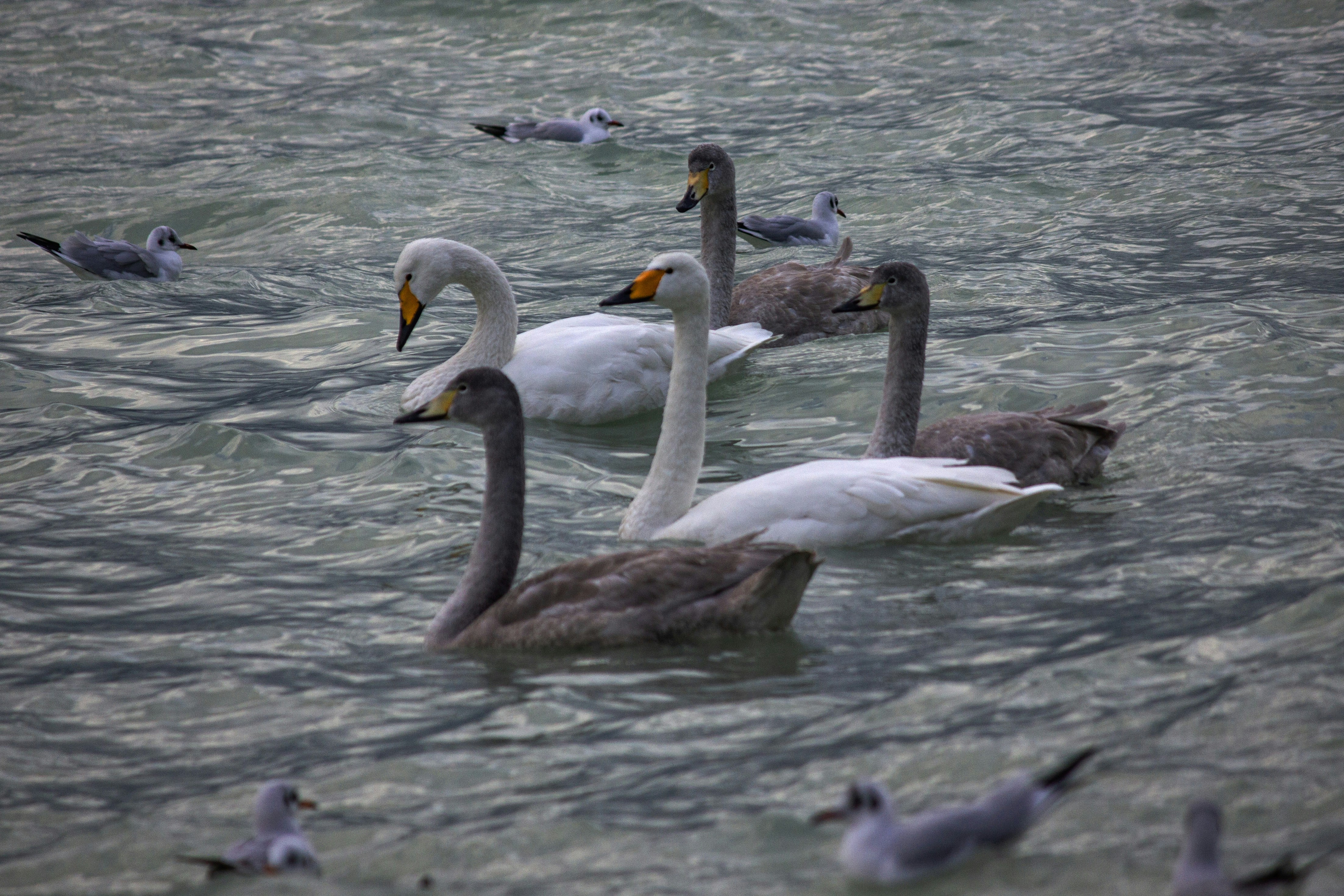 Photo by stepan_konev