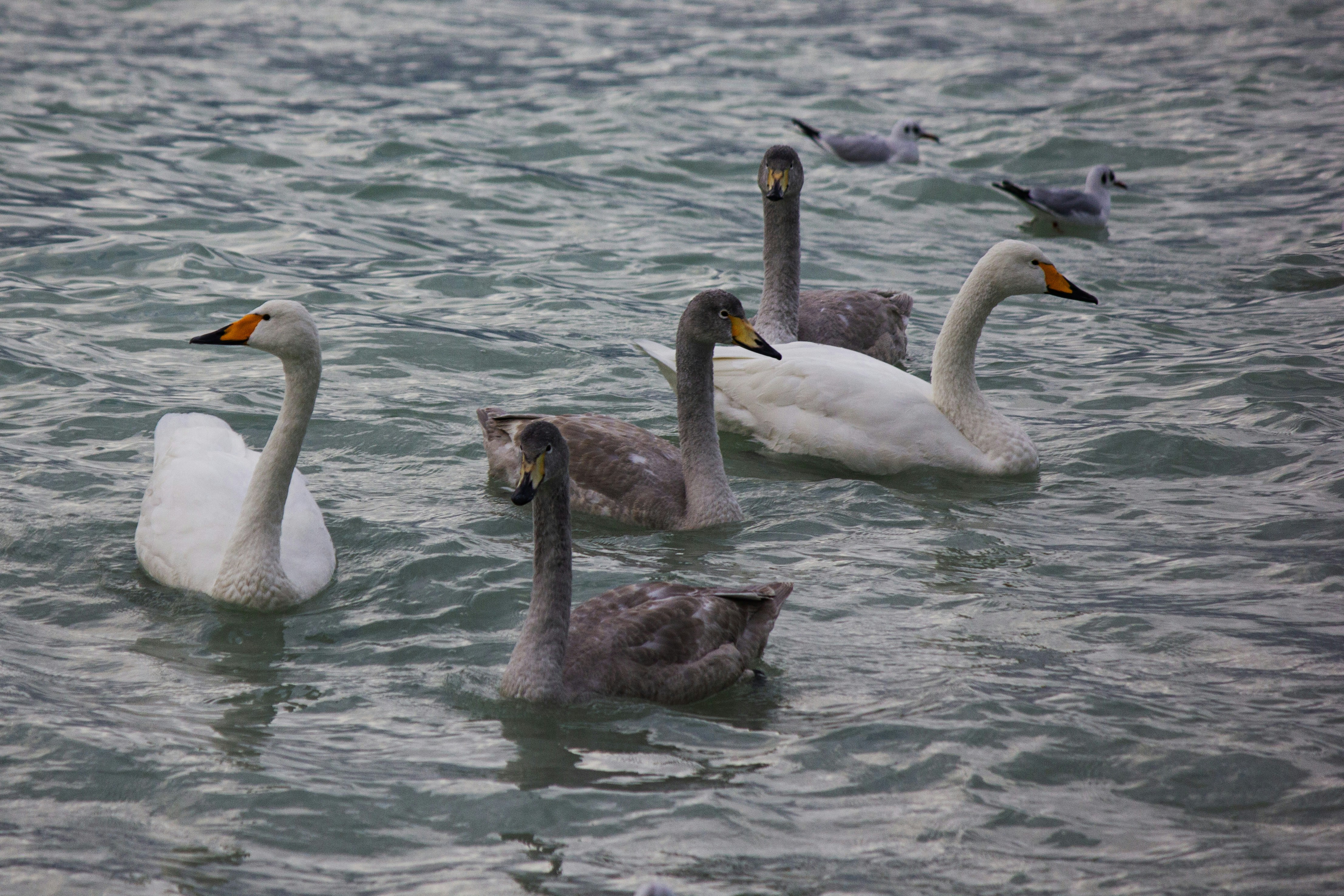 Photo by stepan_konev