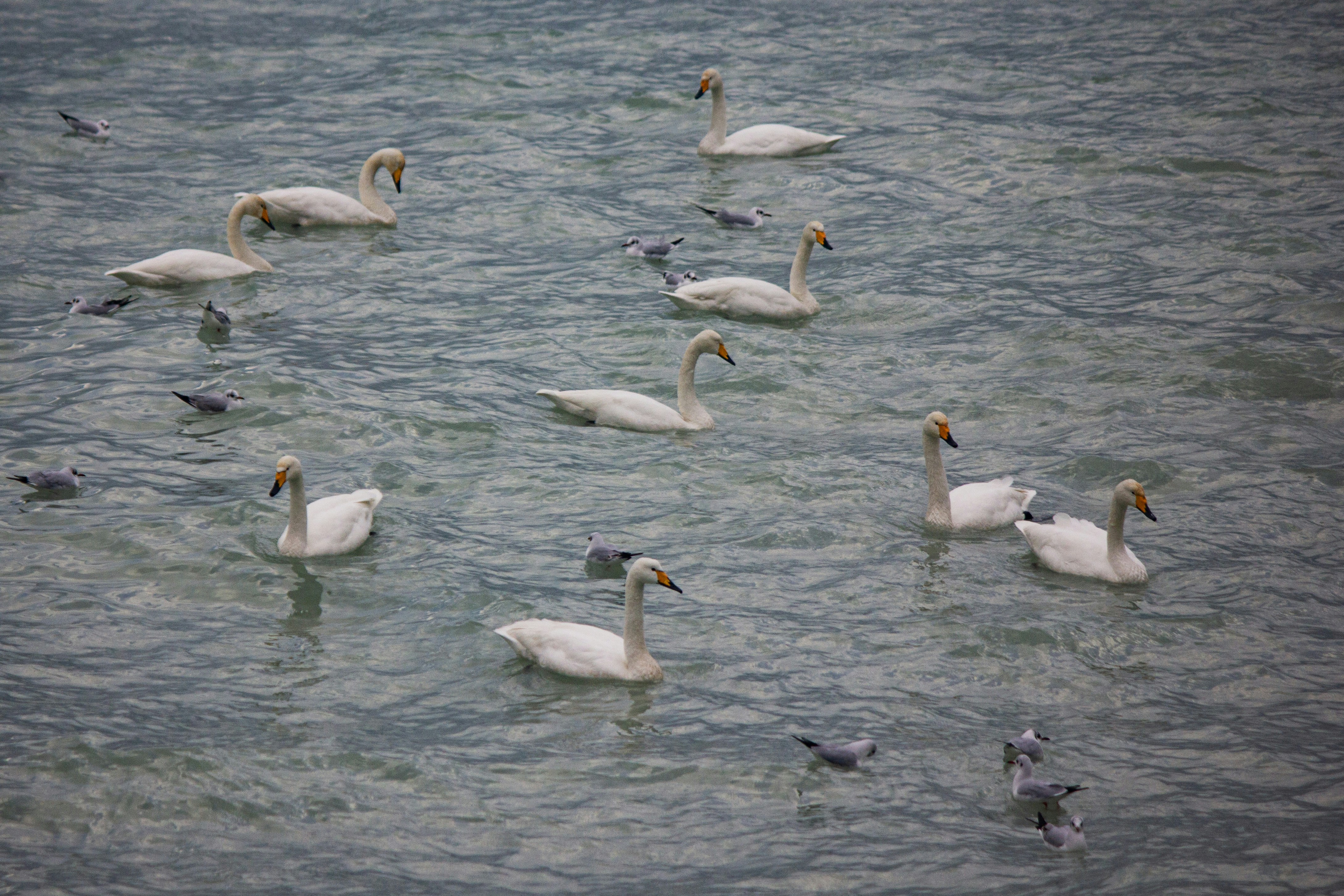 Photo by stepan_konev