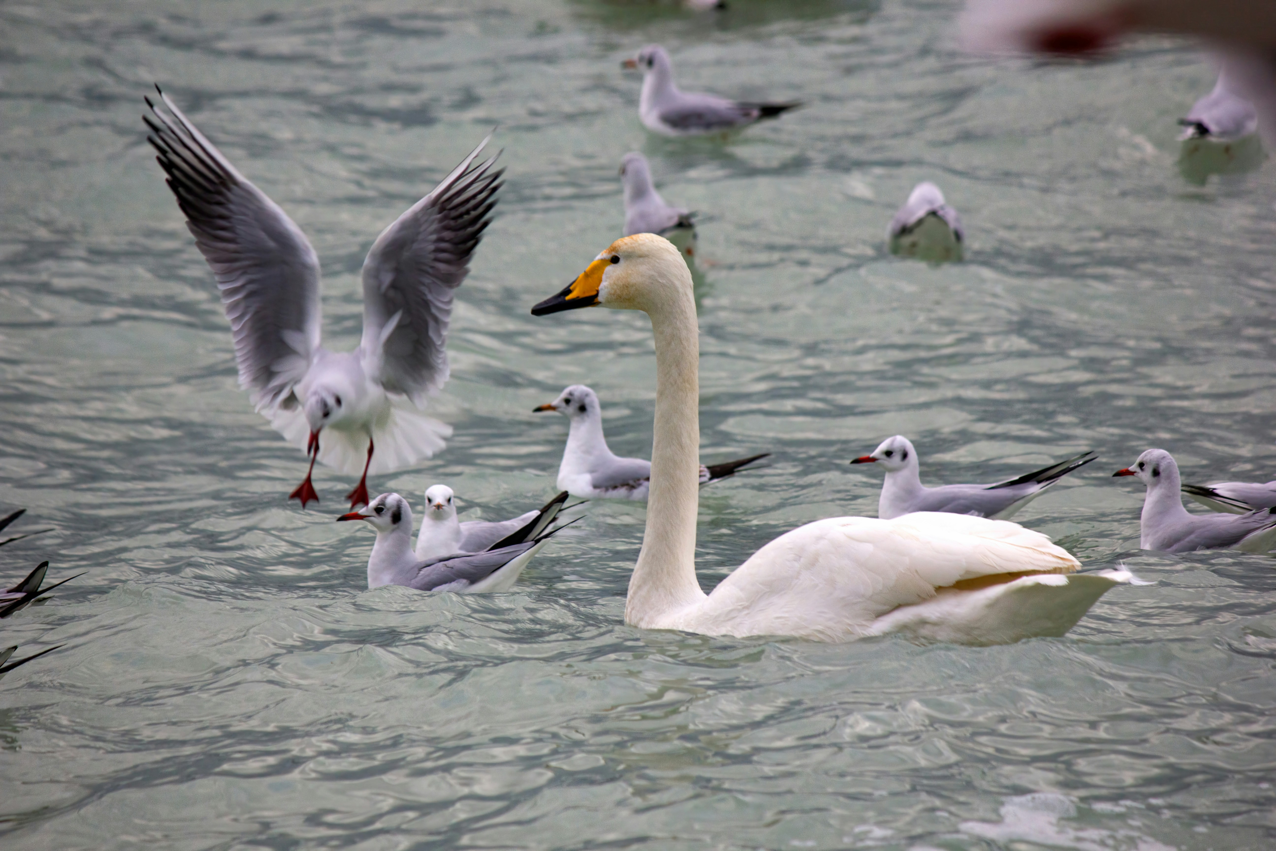 Photo by stepan_konev