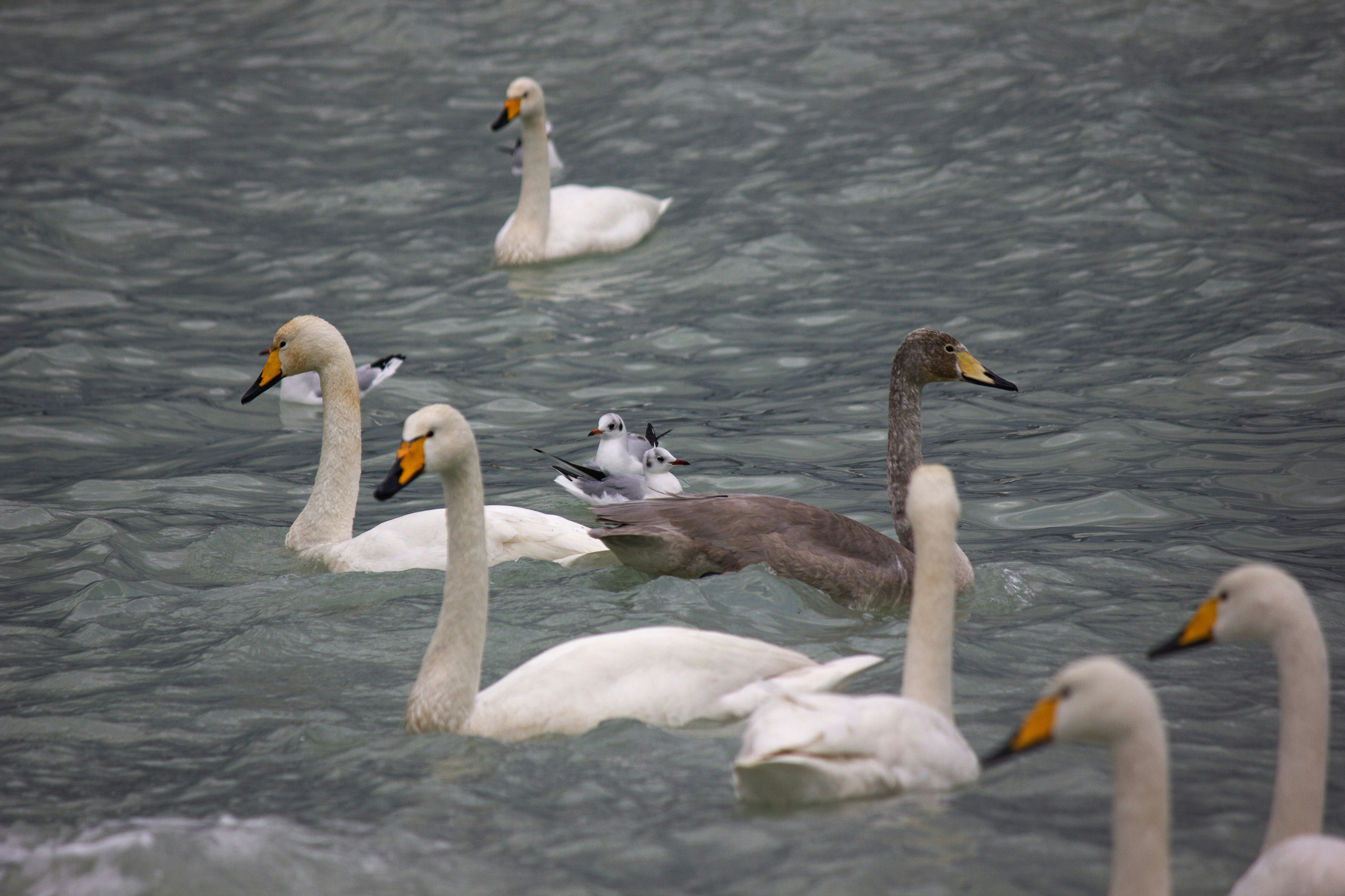 Photo by stepan_konev