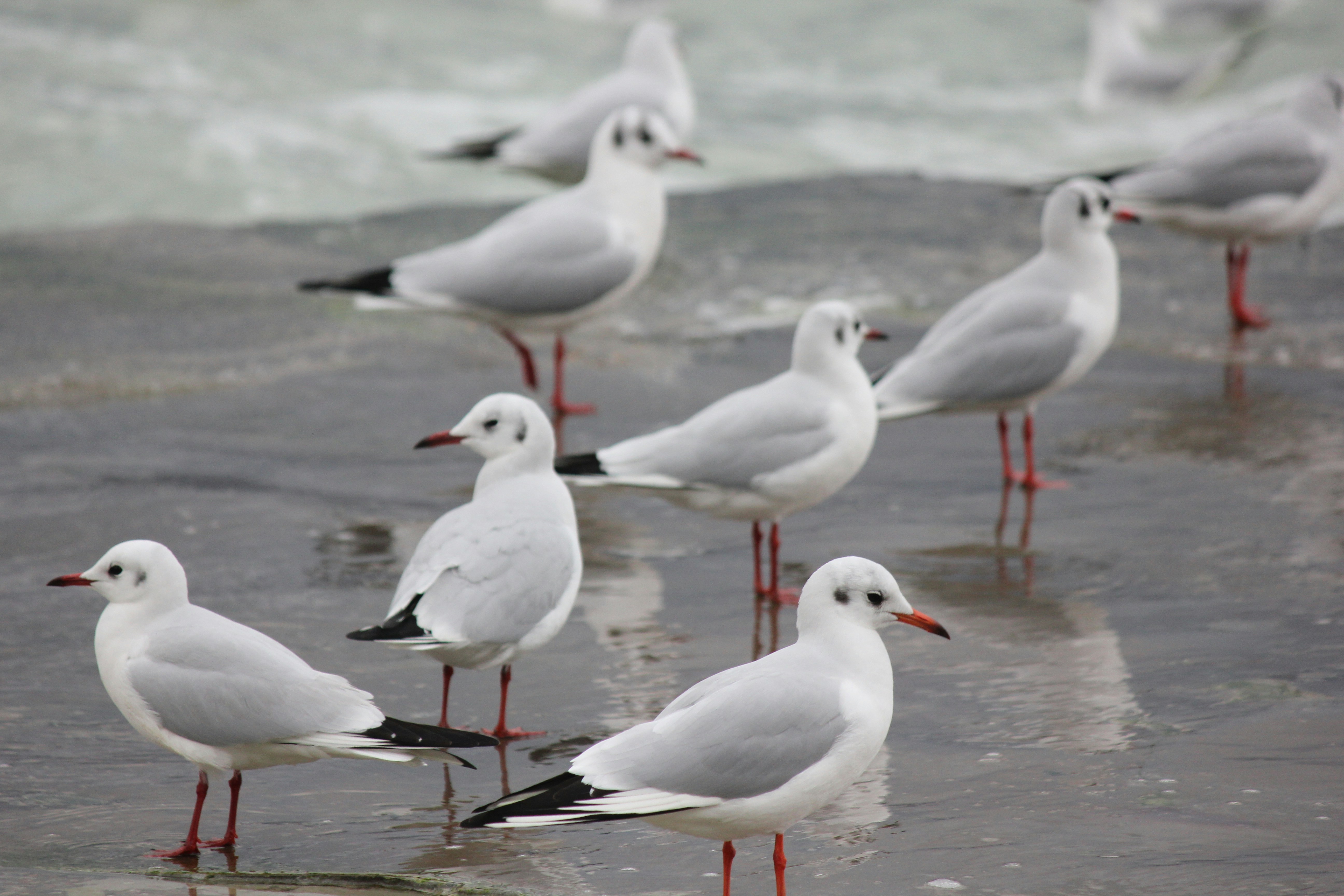 Photo by stepan_konev