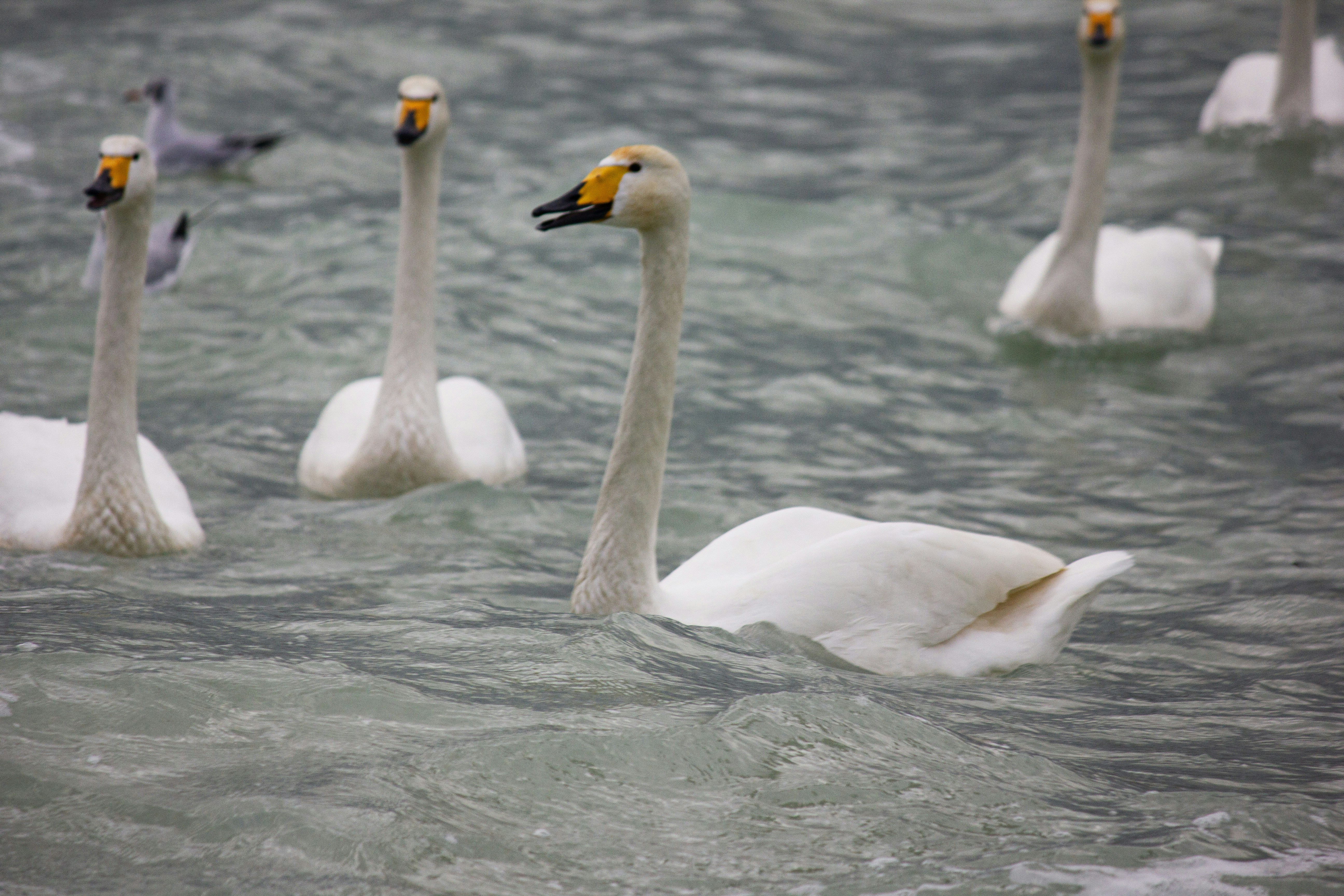 Photo by stepan_konev