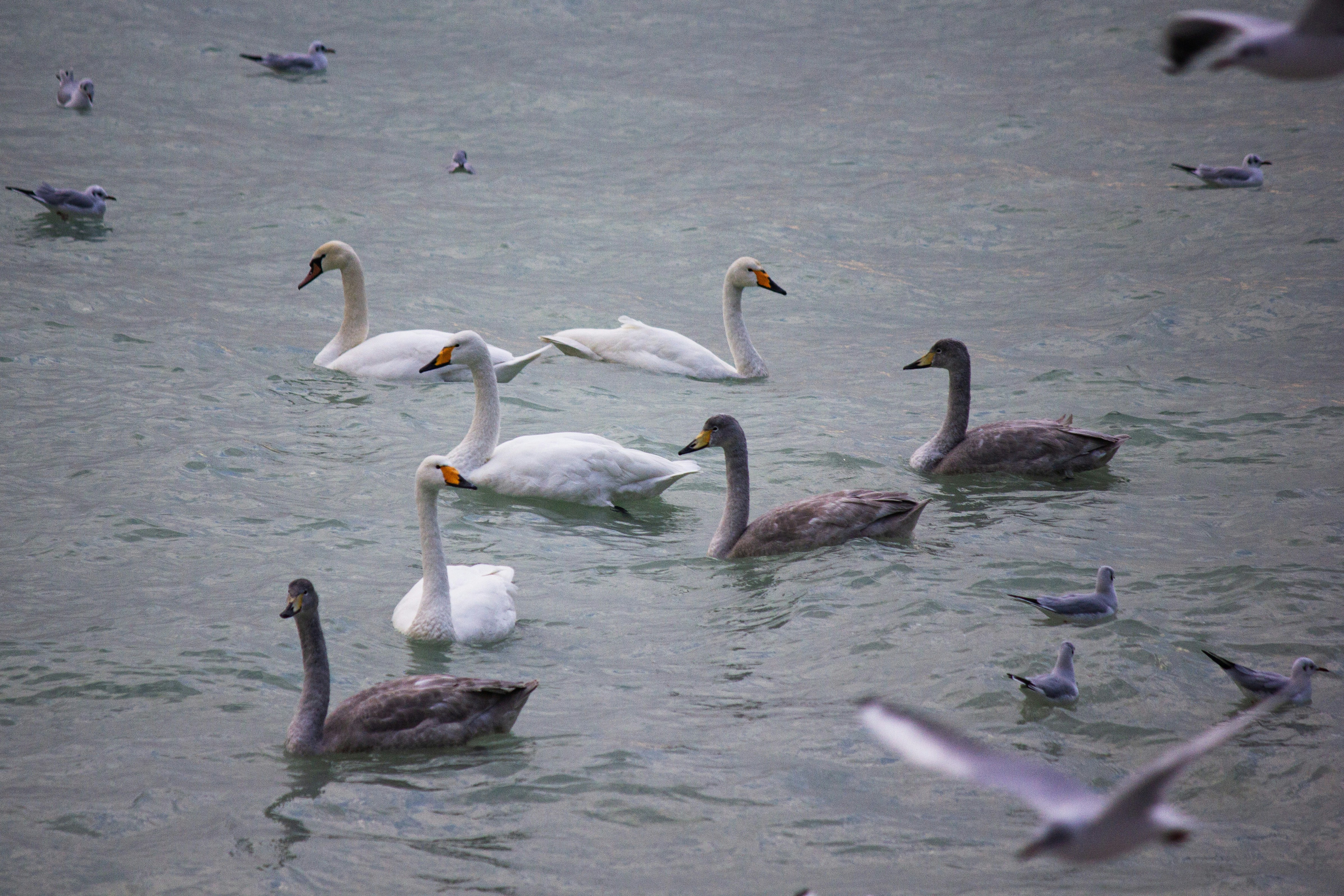 Photo by stepan_konev