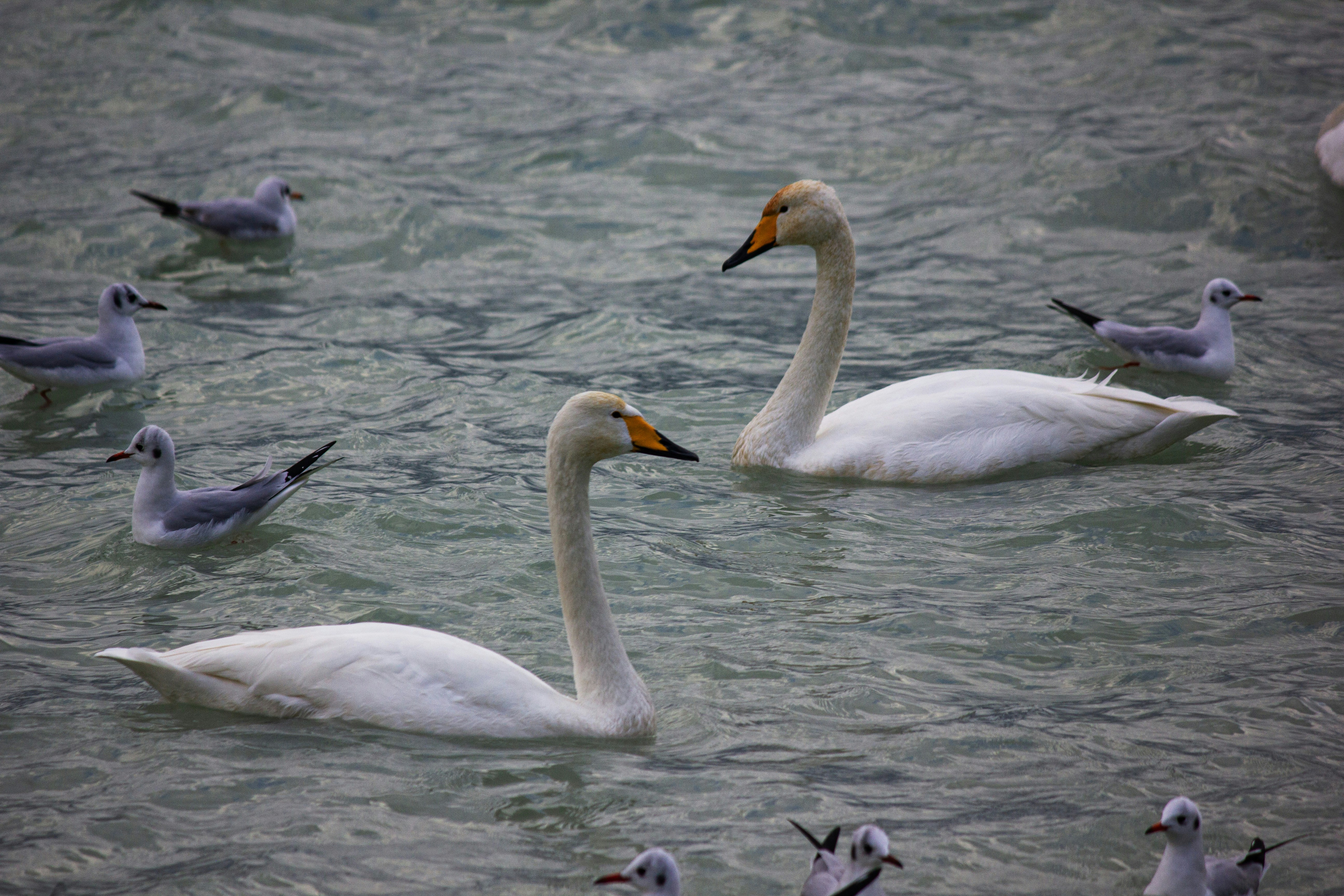 Photo by stepan_konev