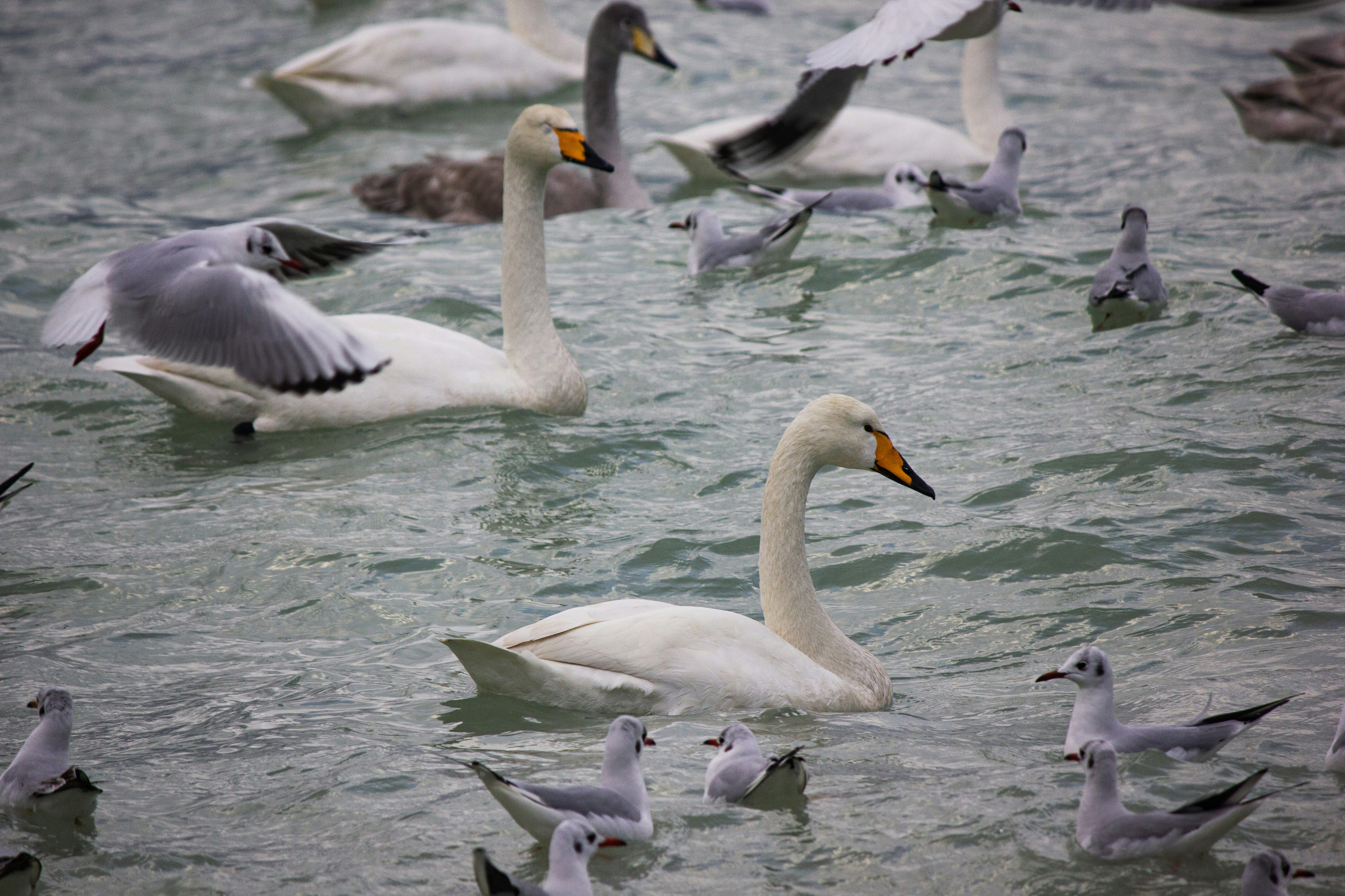 Photo by stepan_konev