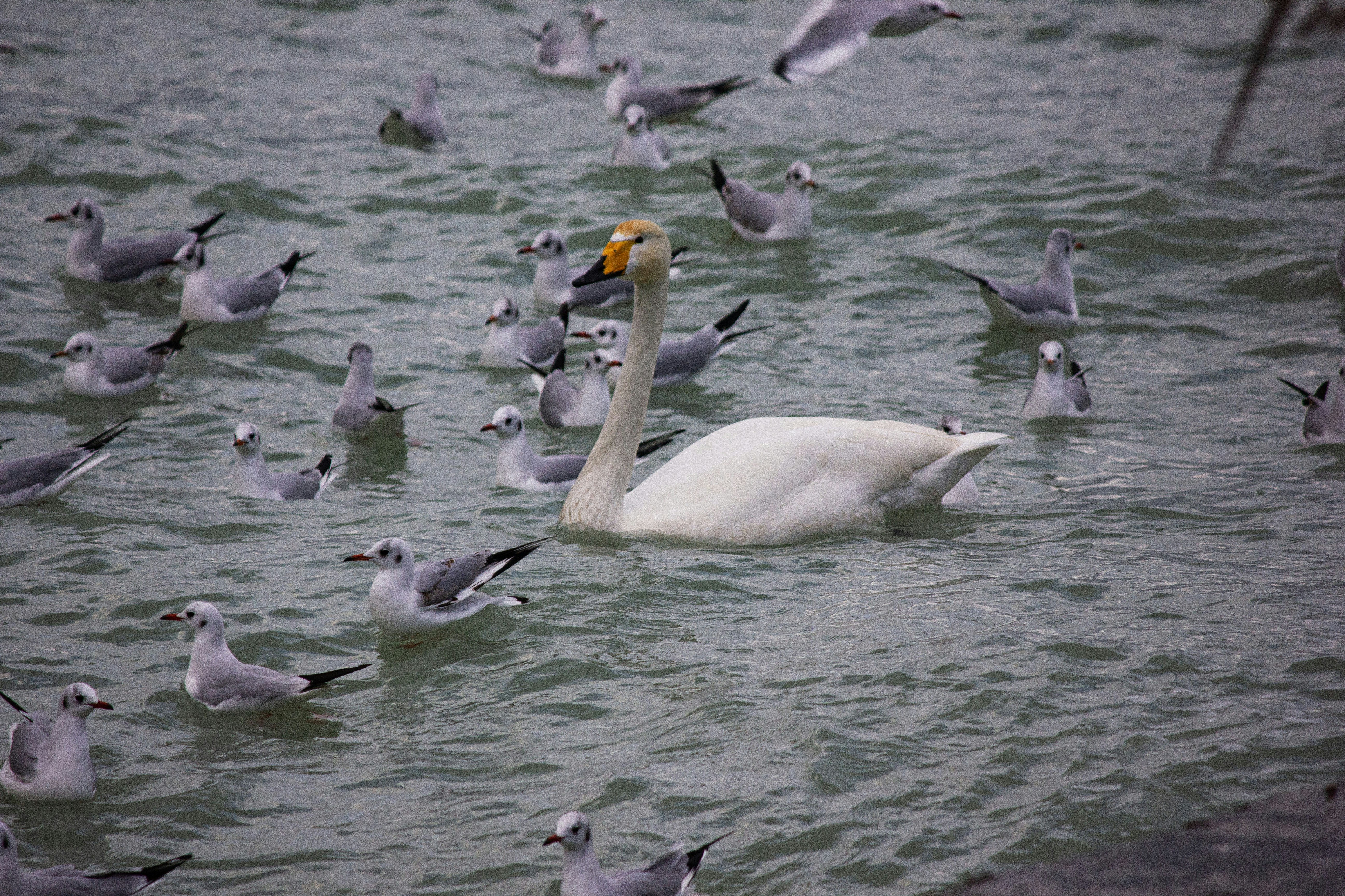 Photo by stepan_konev