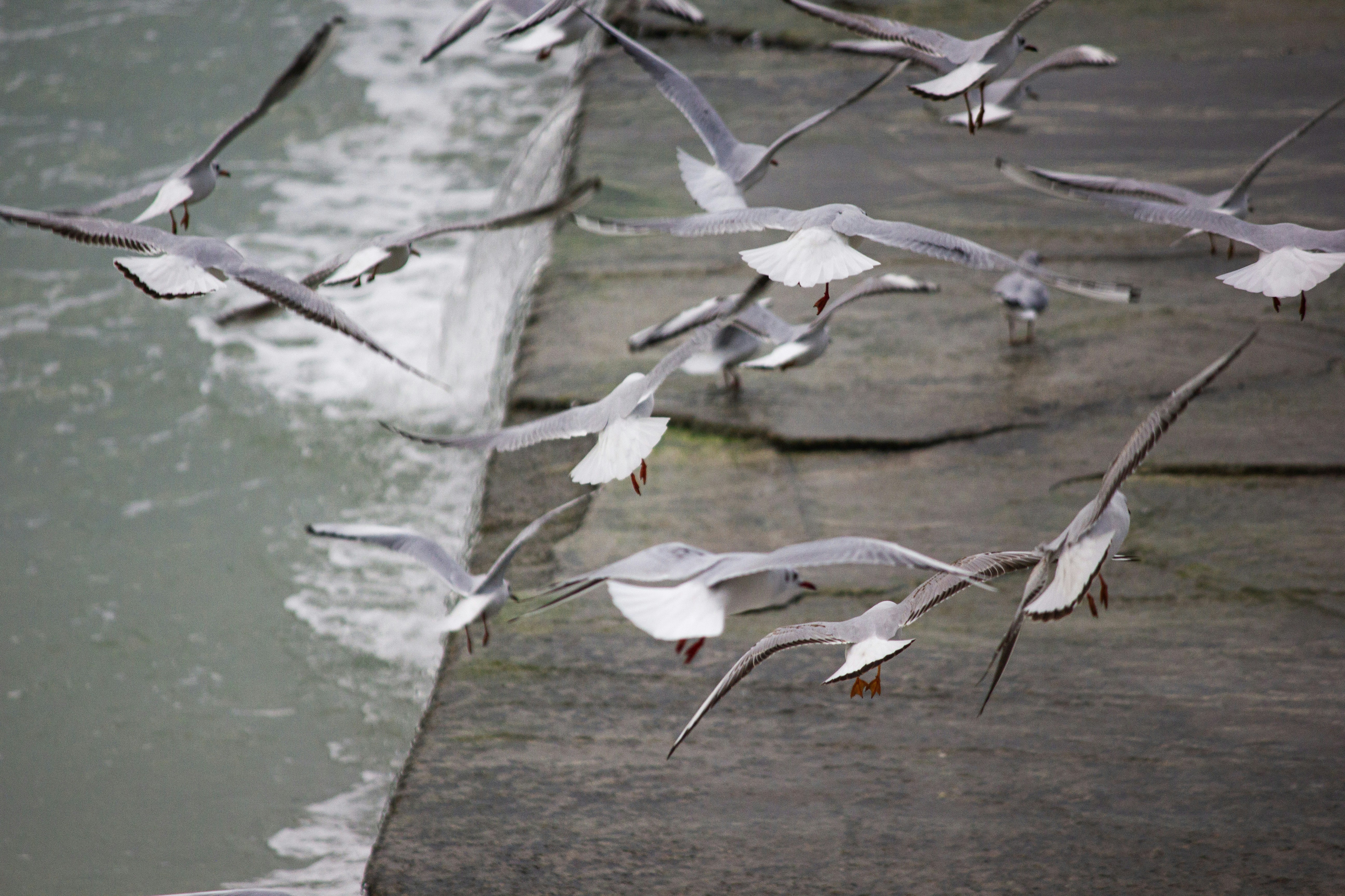 Photo by stepan_konev