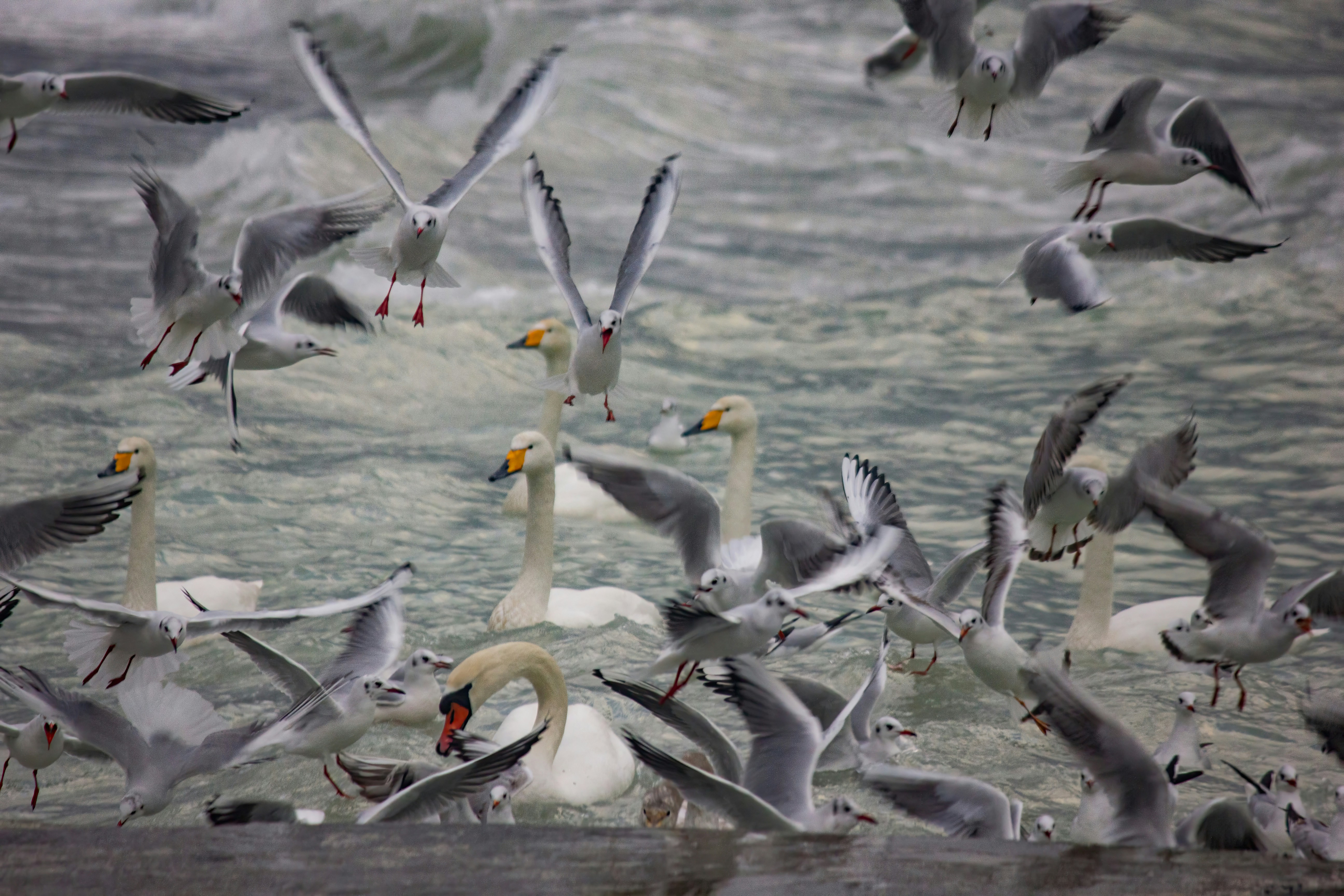 Photo by stepan_konev