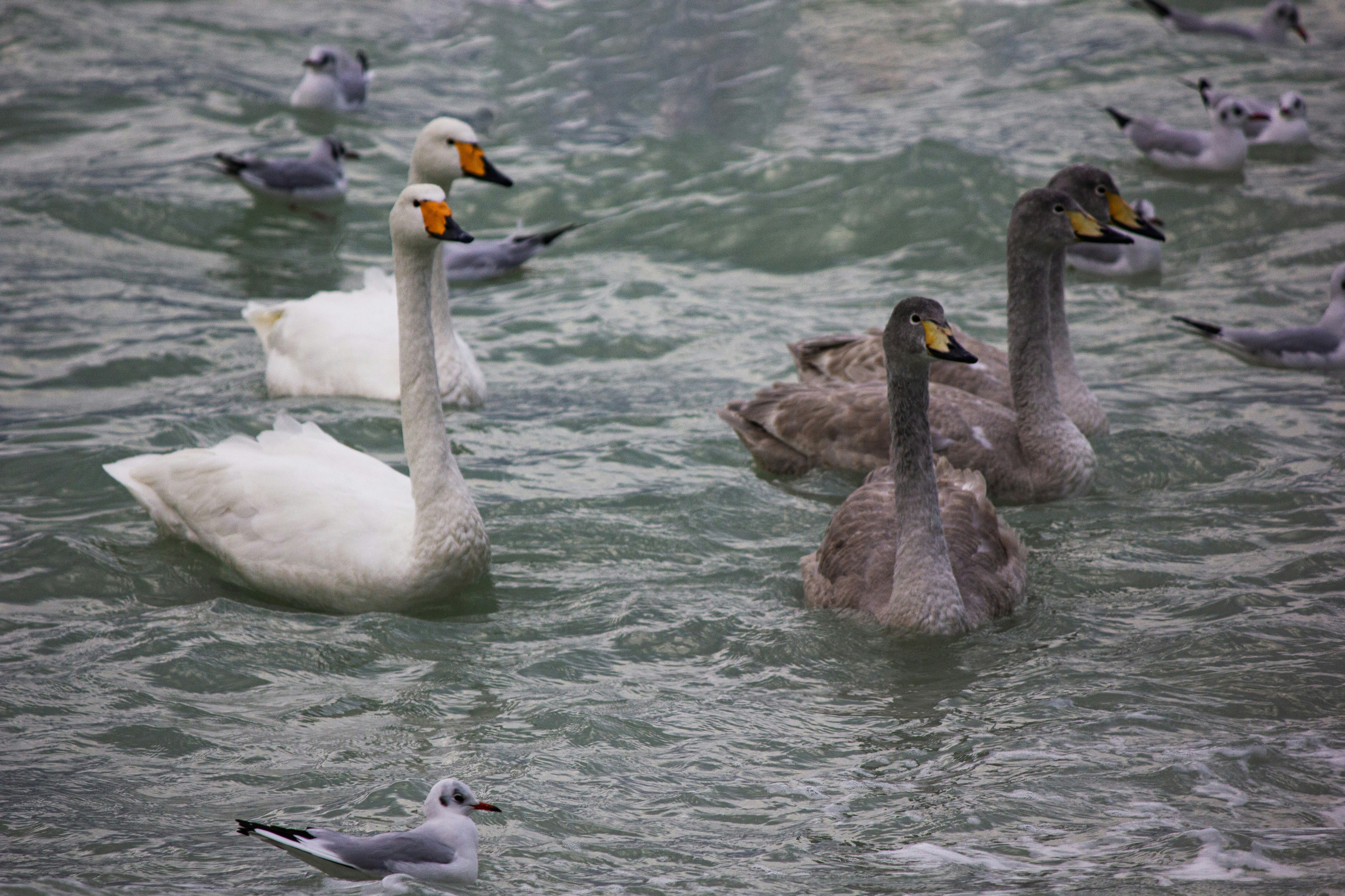 Photo by stepan_konev