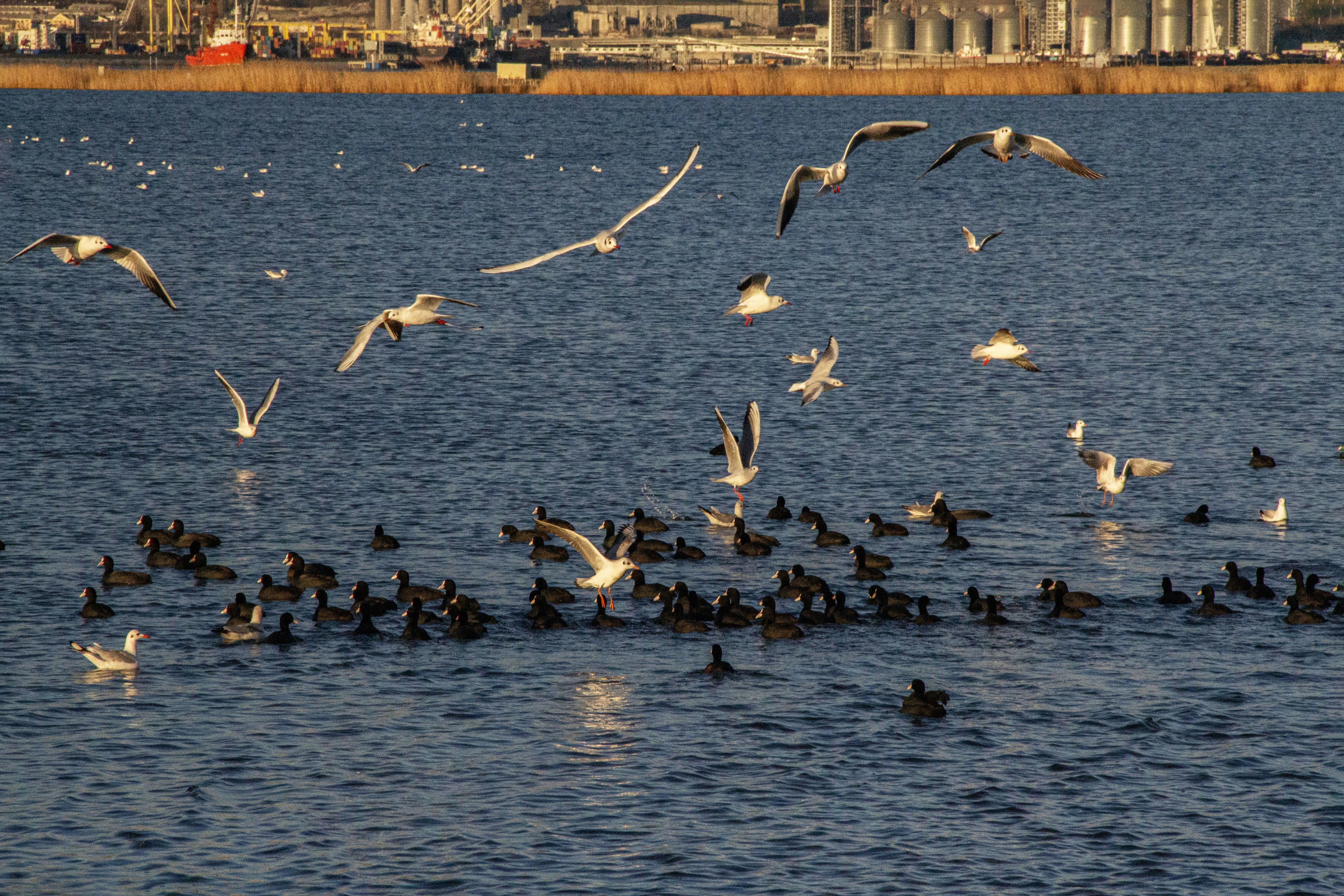 Photo by stepan_konev