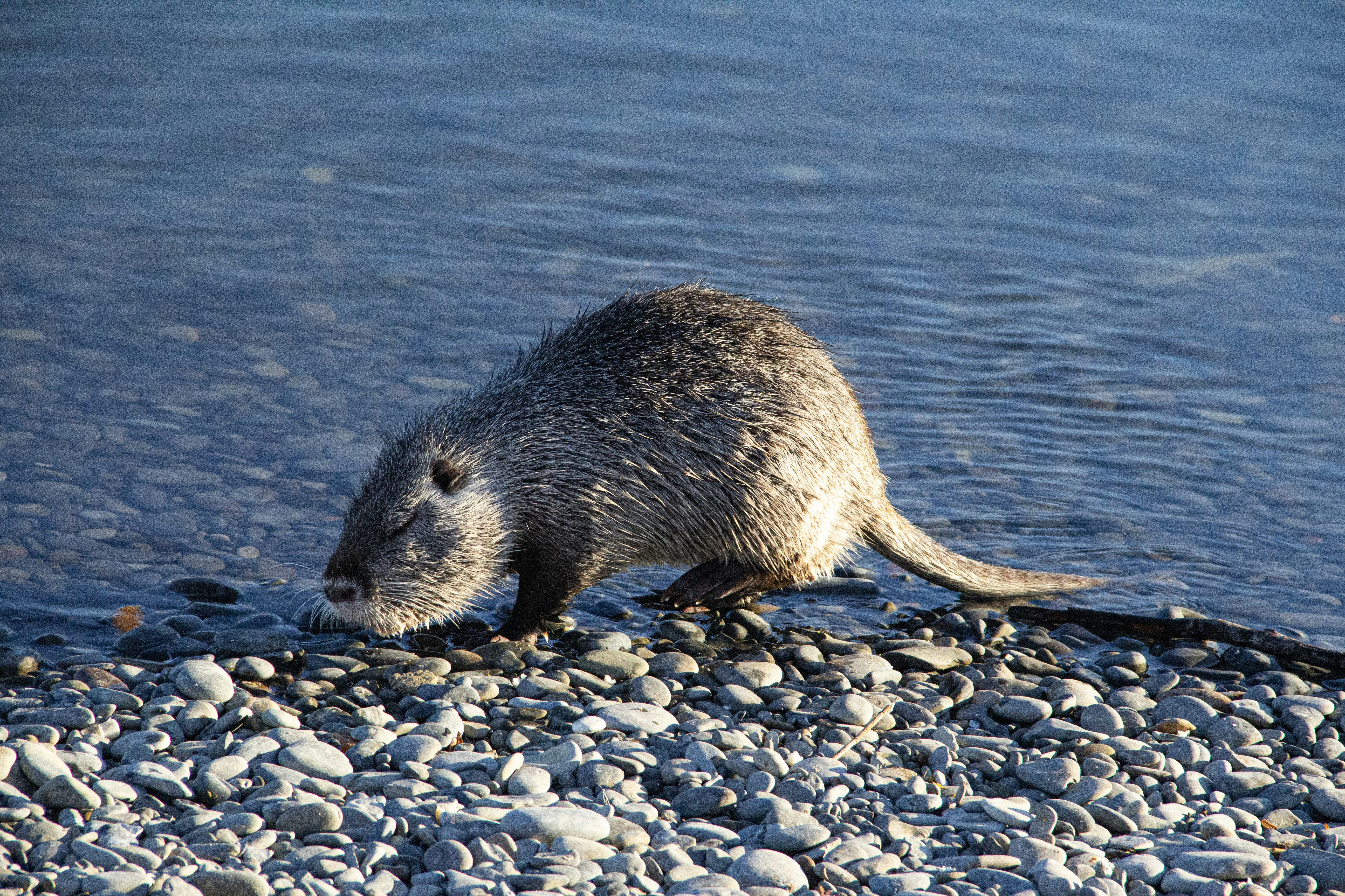 Photo by stepan_konev