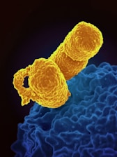 a computer generated image of a cell phone