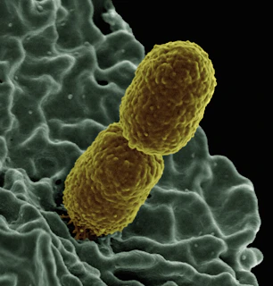 a close up of a cell phone with a yellow substance