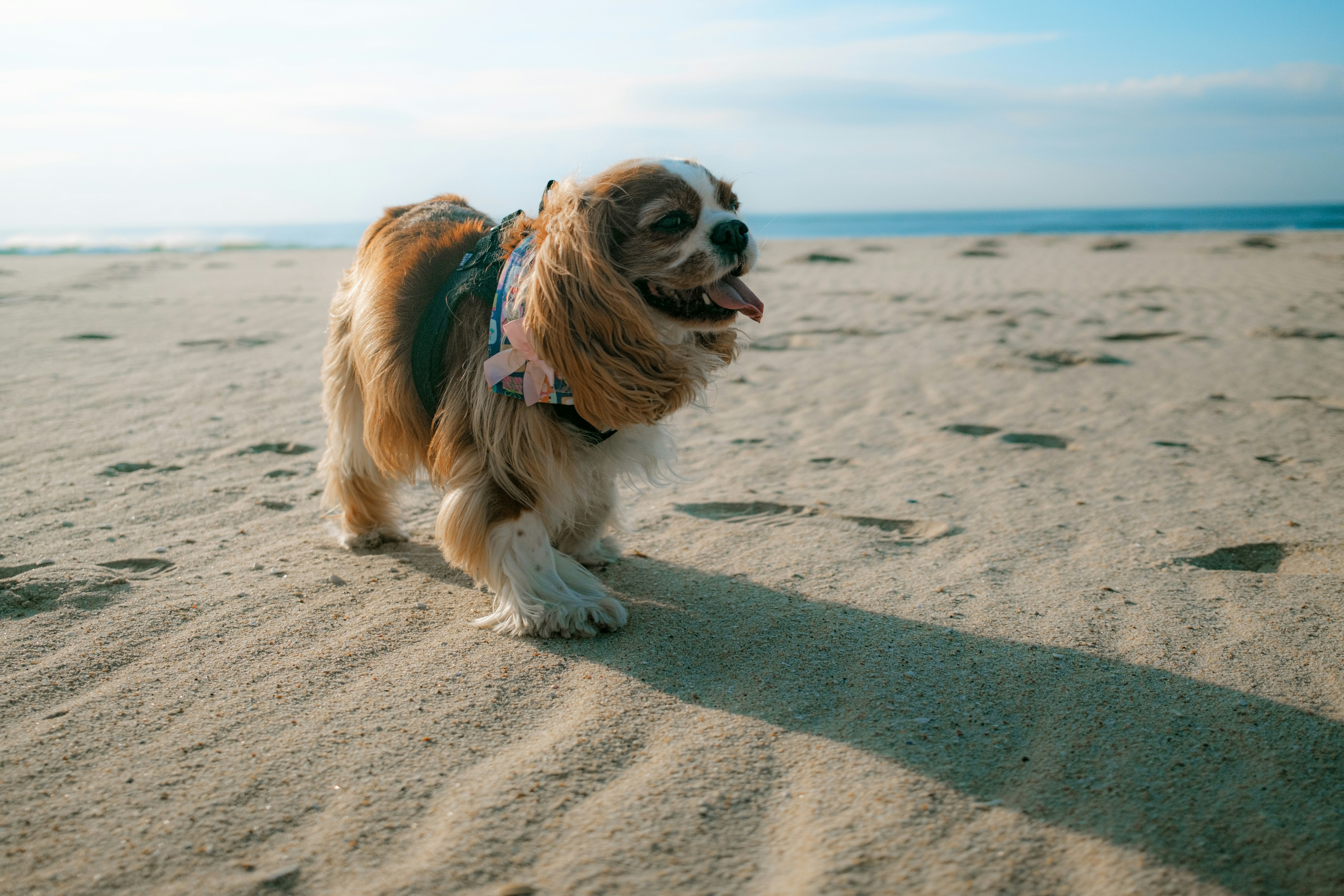 Photo by valentinlacoste