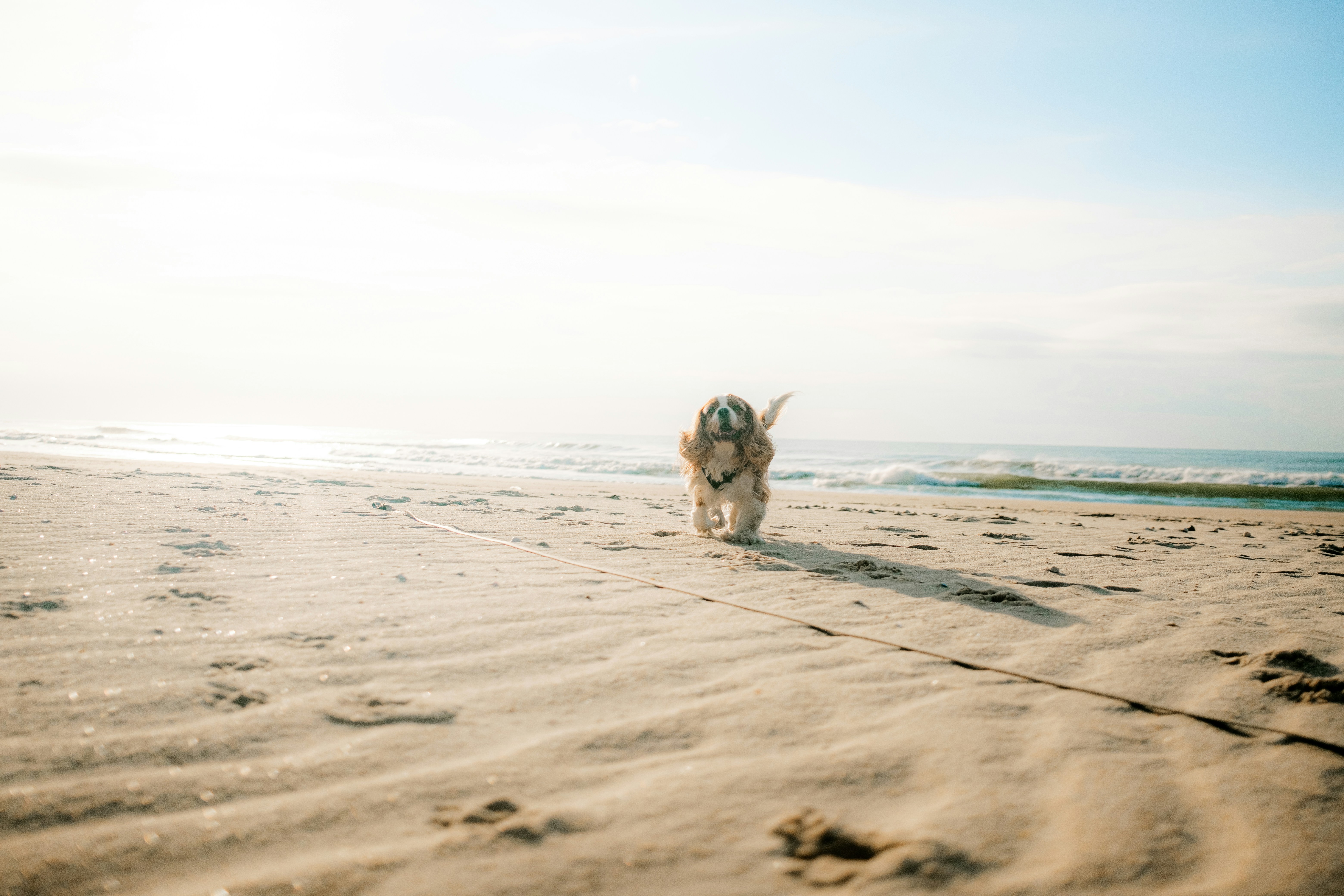 Photo by valentinlacoste