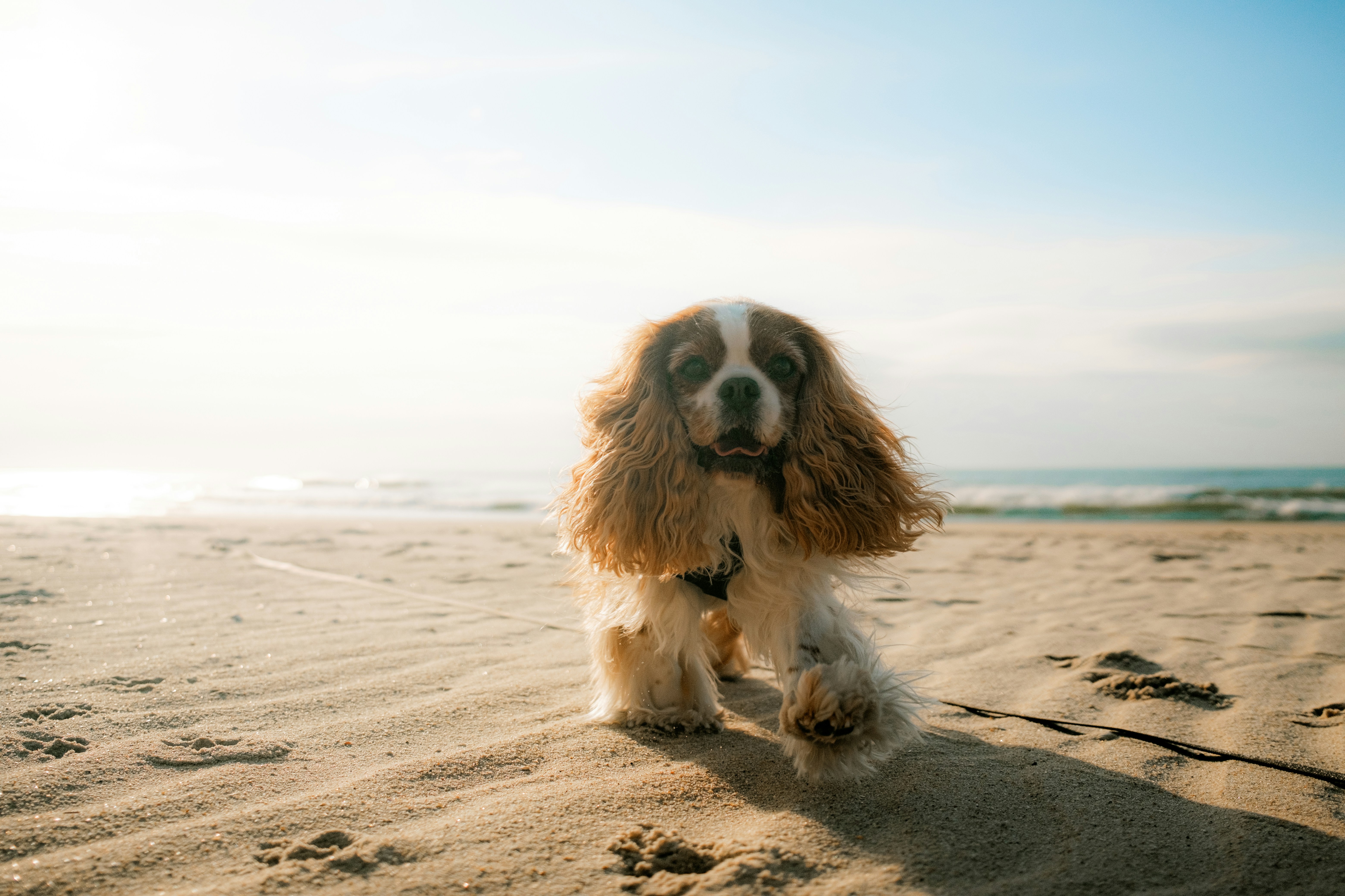 Photo by valentinlacoste