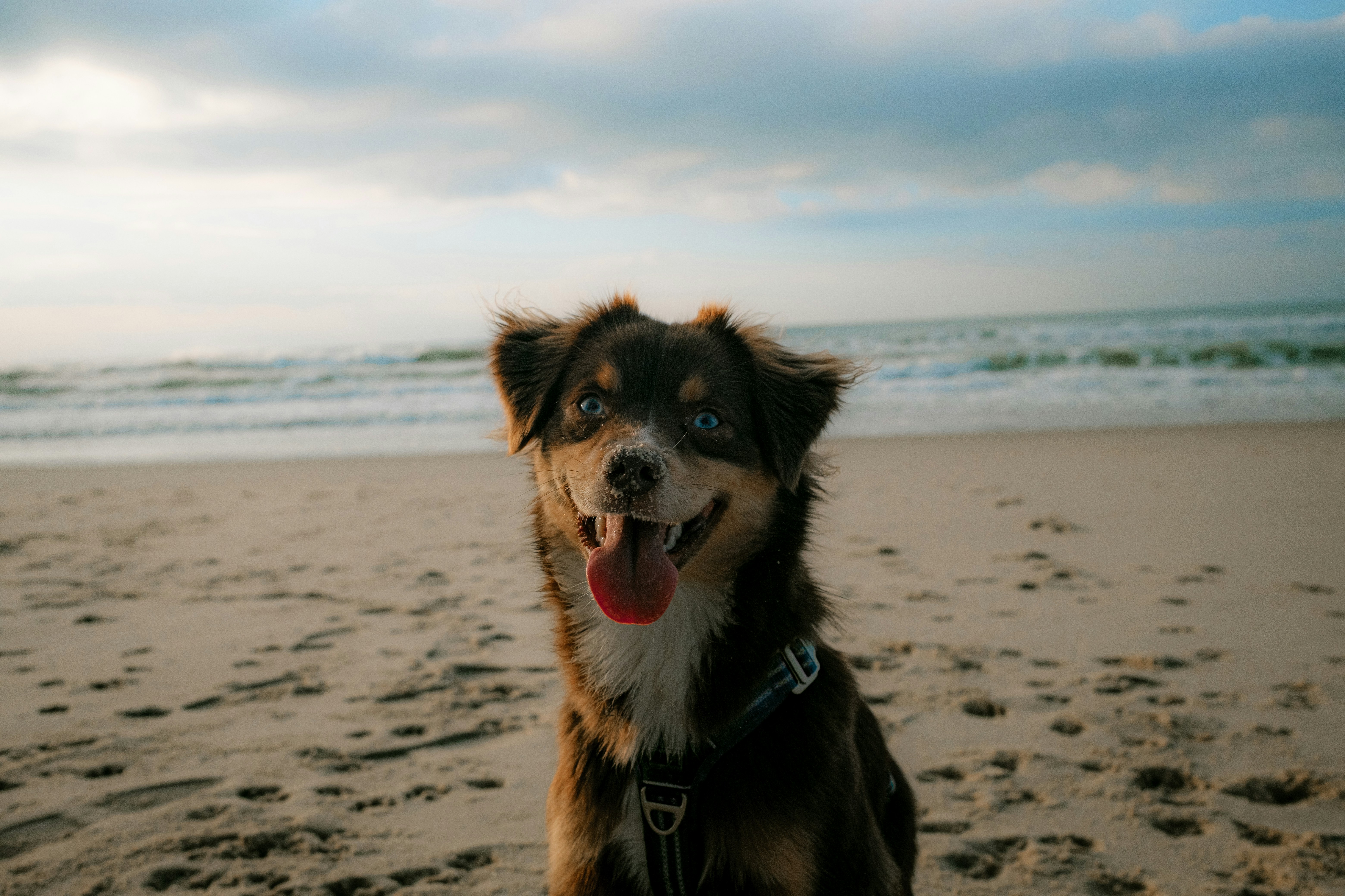 Photo by valentinlacoste