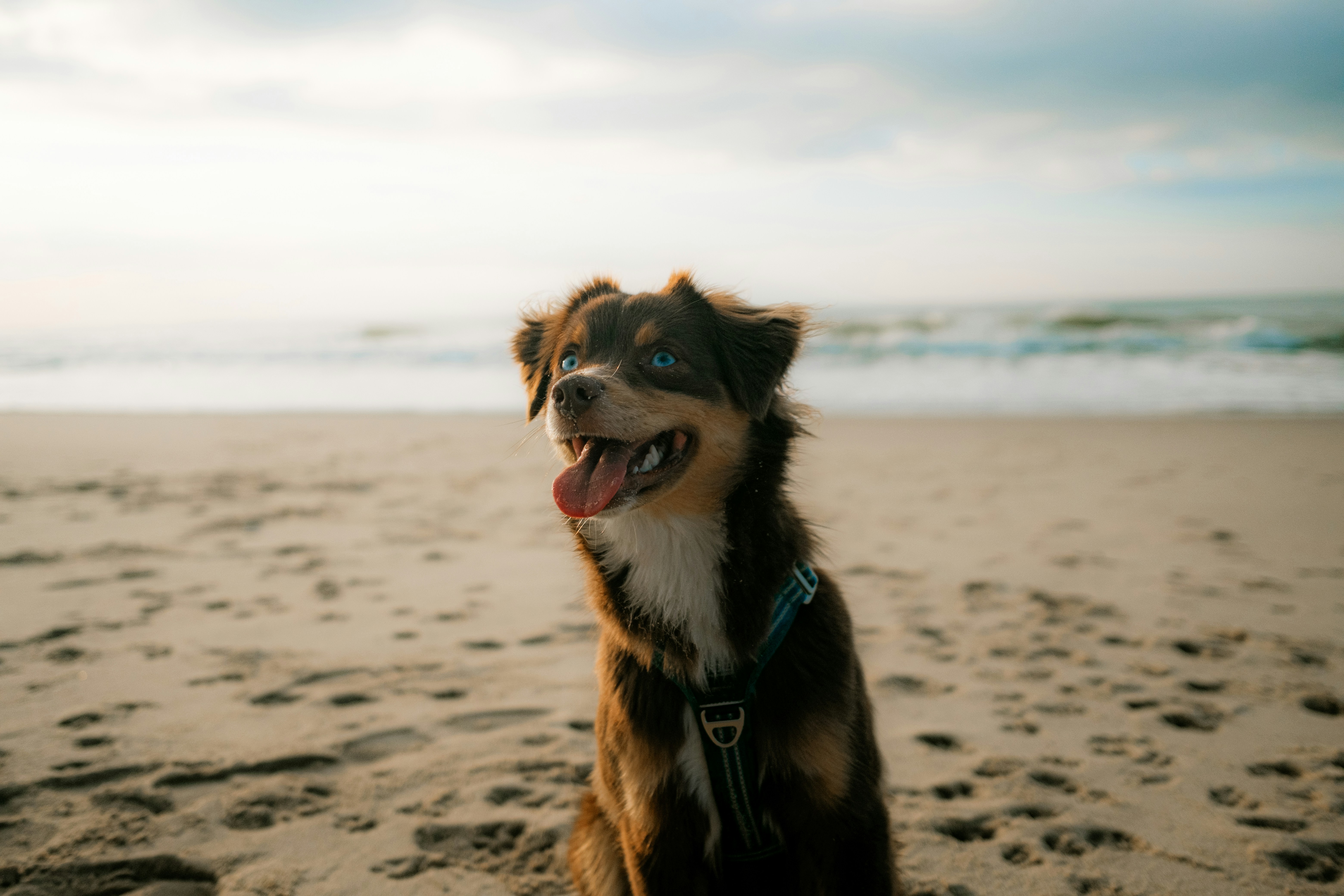 Photo by valentinlacoste