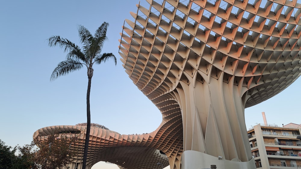 a tall building with a palm tree in front of it