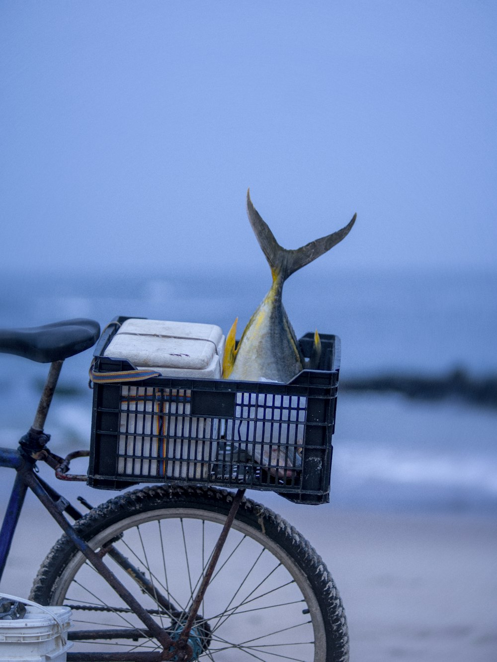 a bike parked on the beach with a fish in the basket